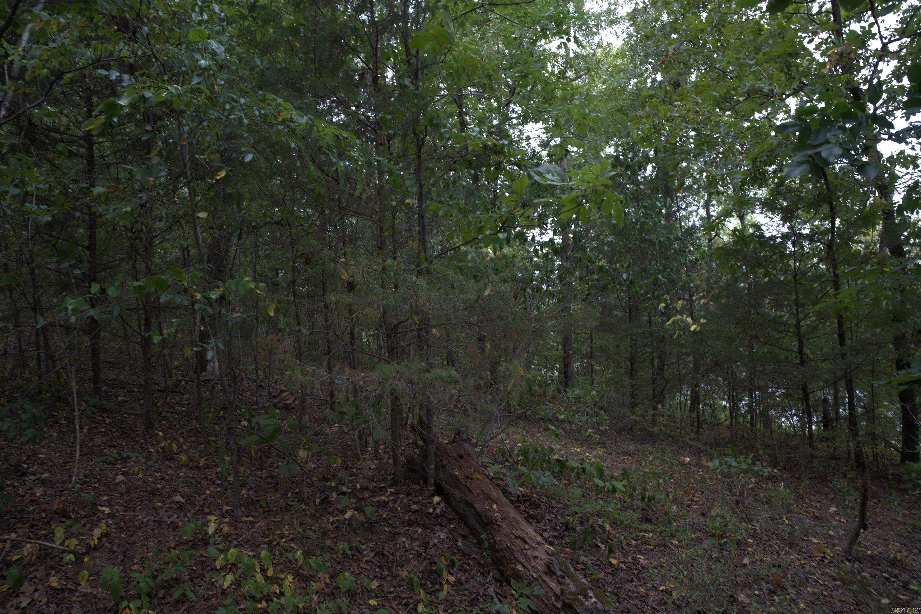 0 Copeland  Romance, AR