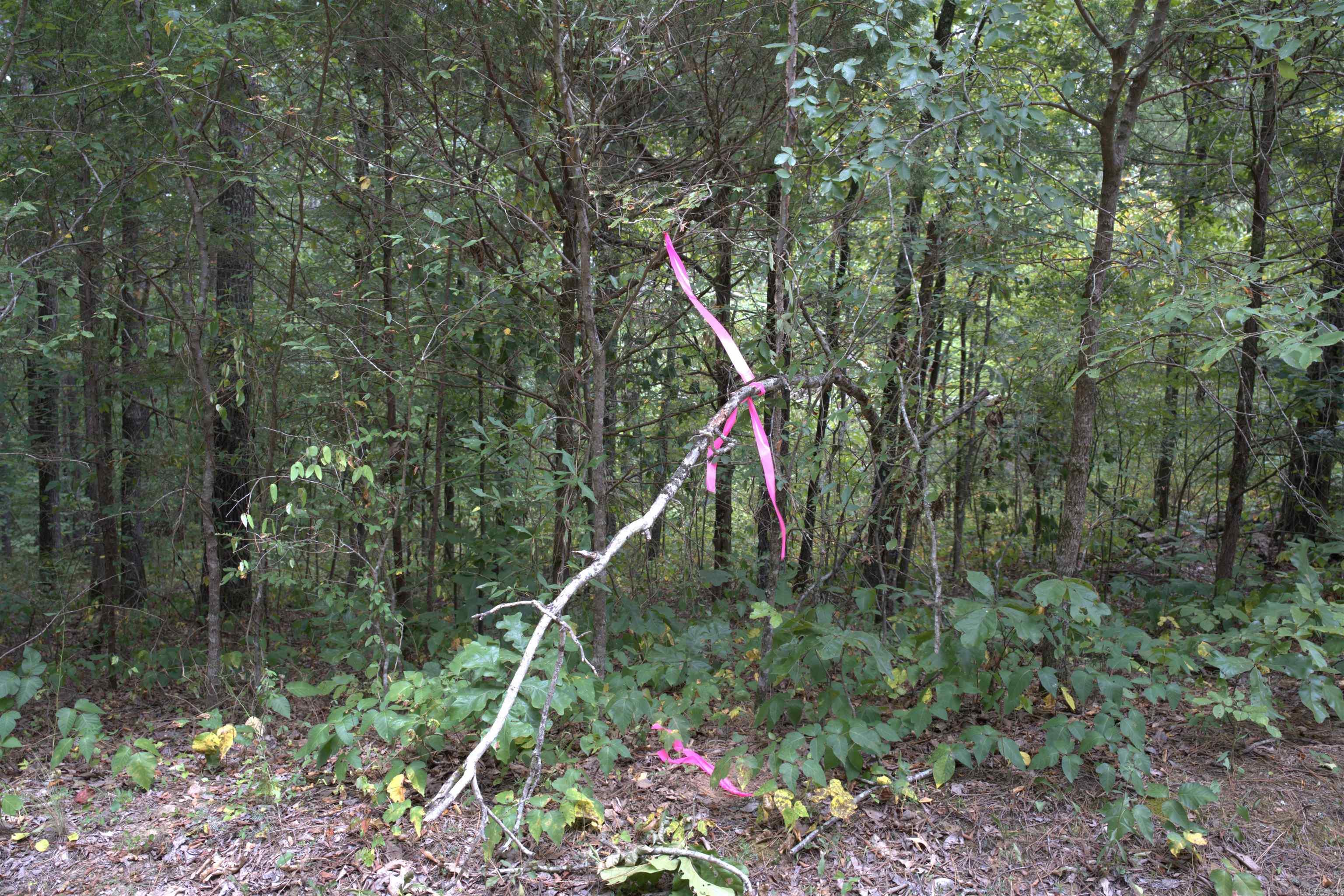 1 Copeland  Romance, AR
