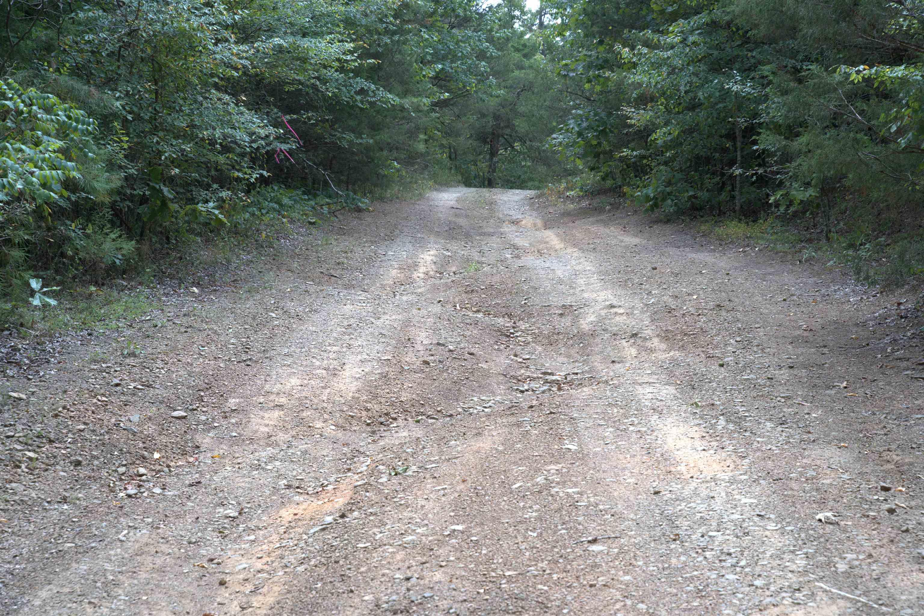 1 Copeland  Romance, AR