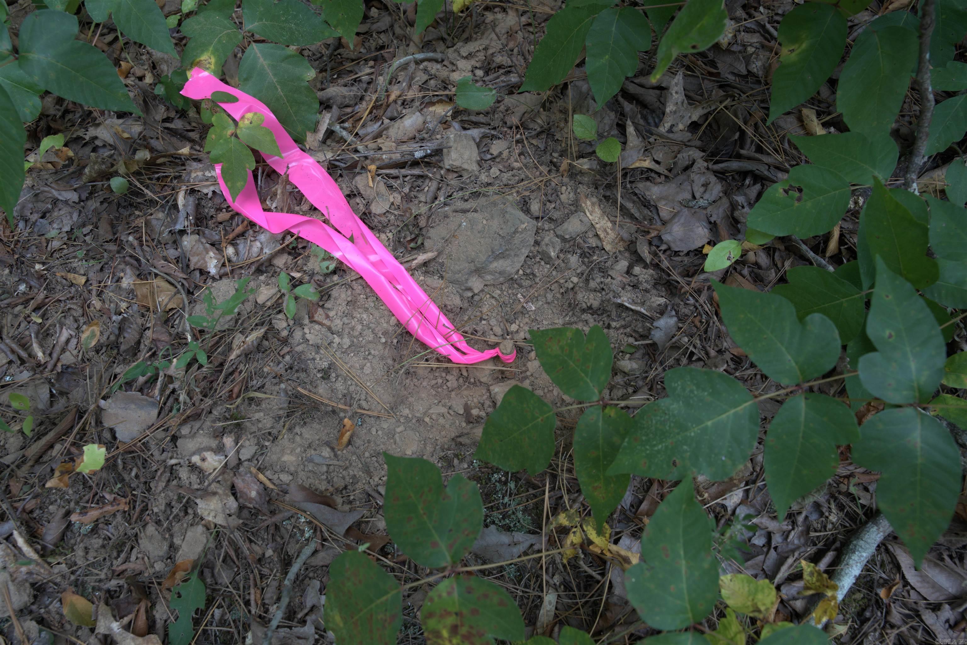 1 Copeland  Romance, AR