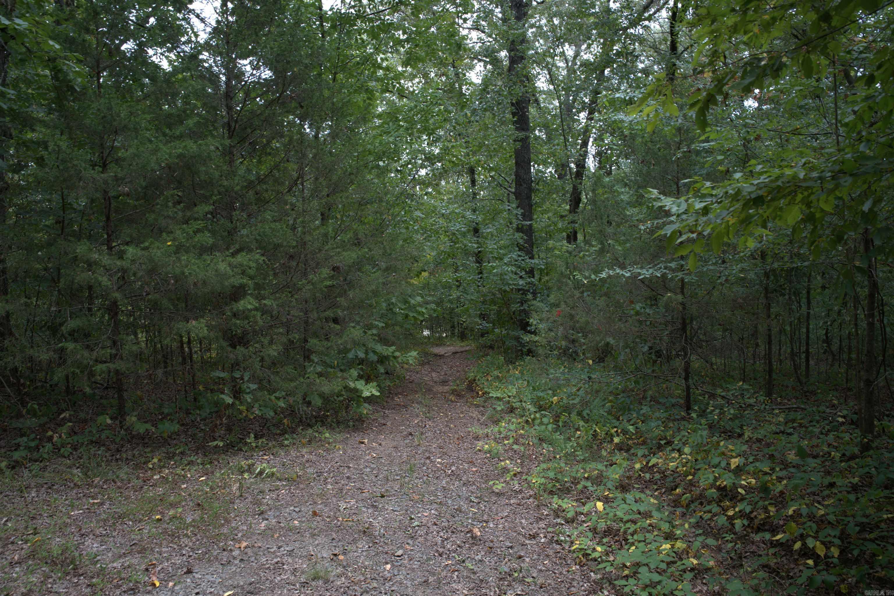 1 Copeland  Romance, AR