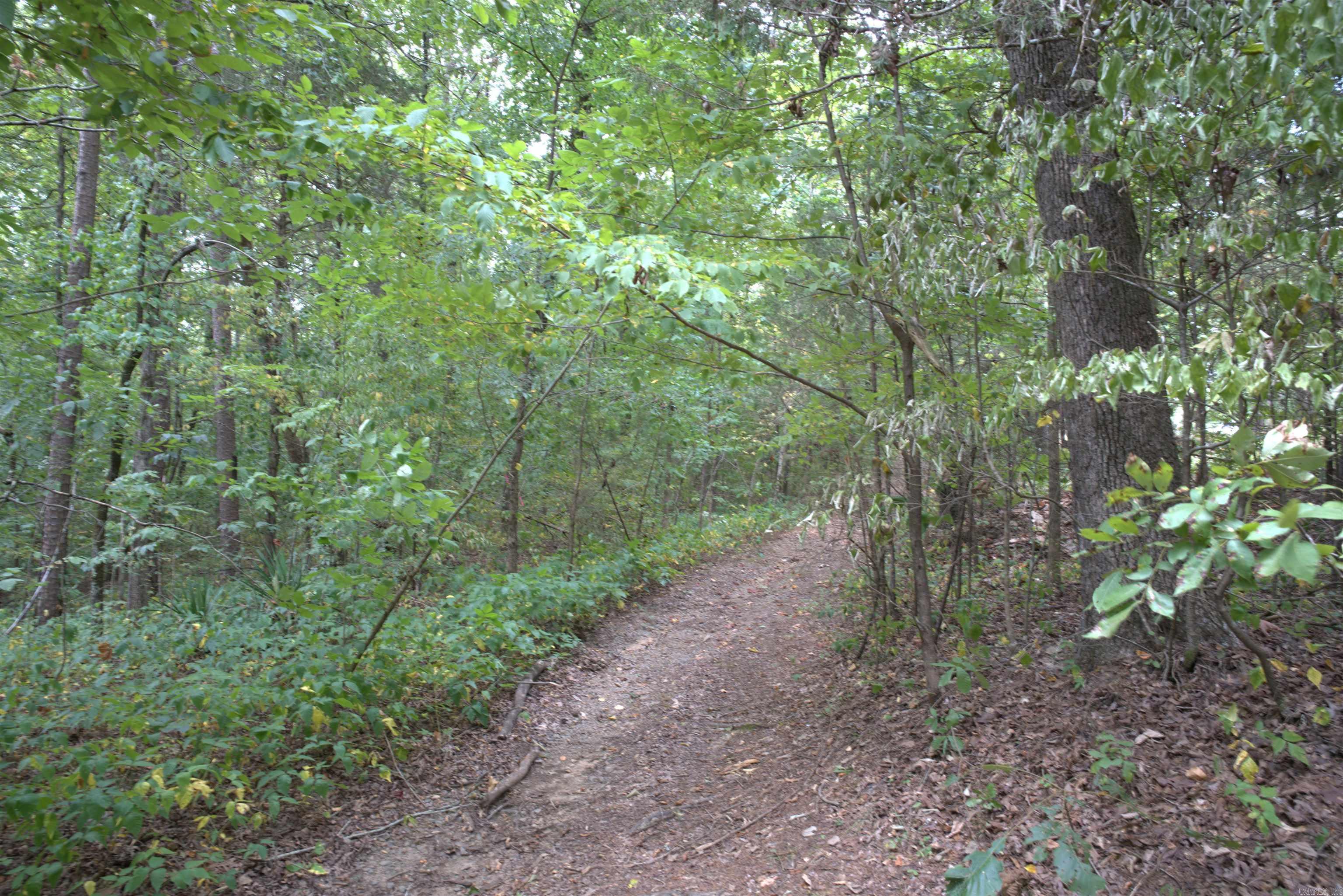 1 Copeland  Romance, AR