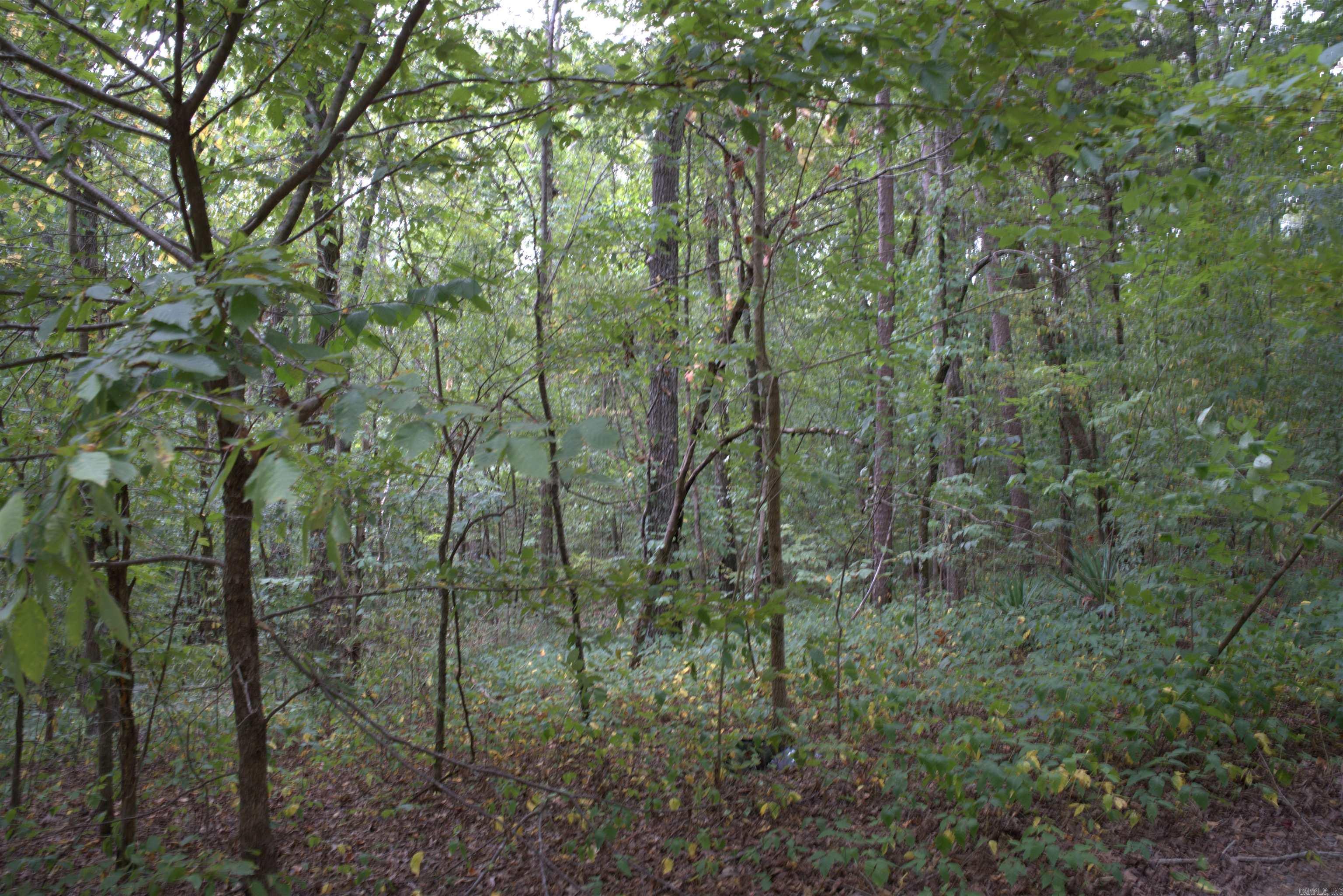 1 Copeland  Romance, AR