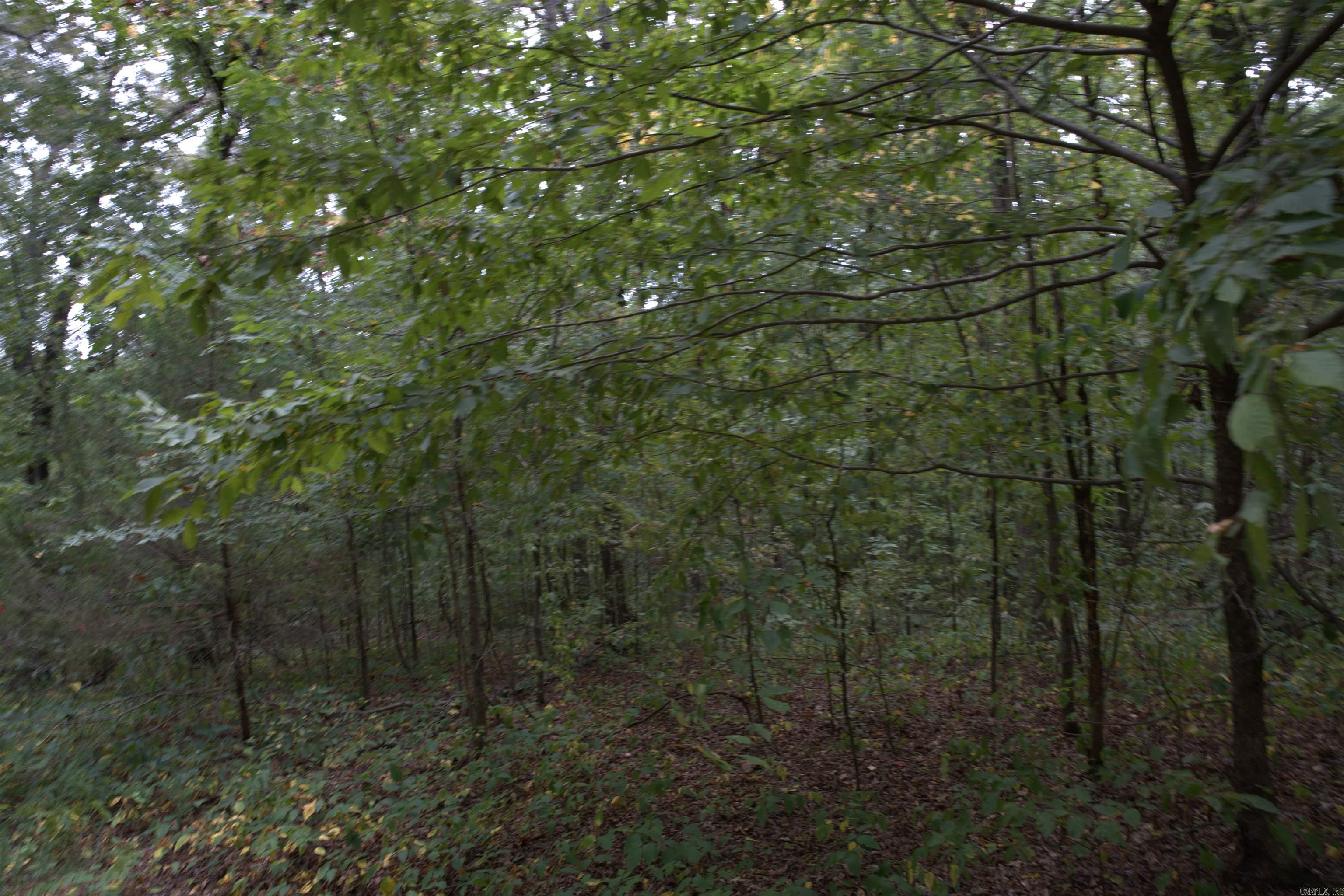 1 Copeland  Romance, AR