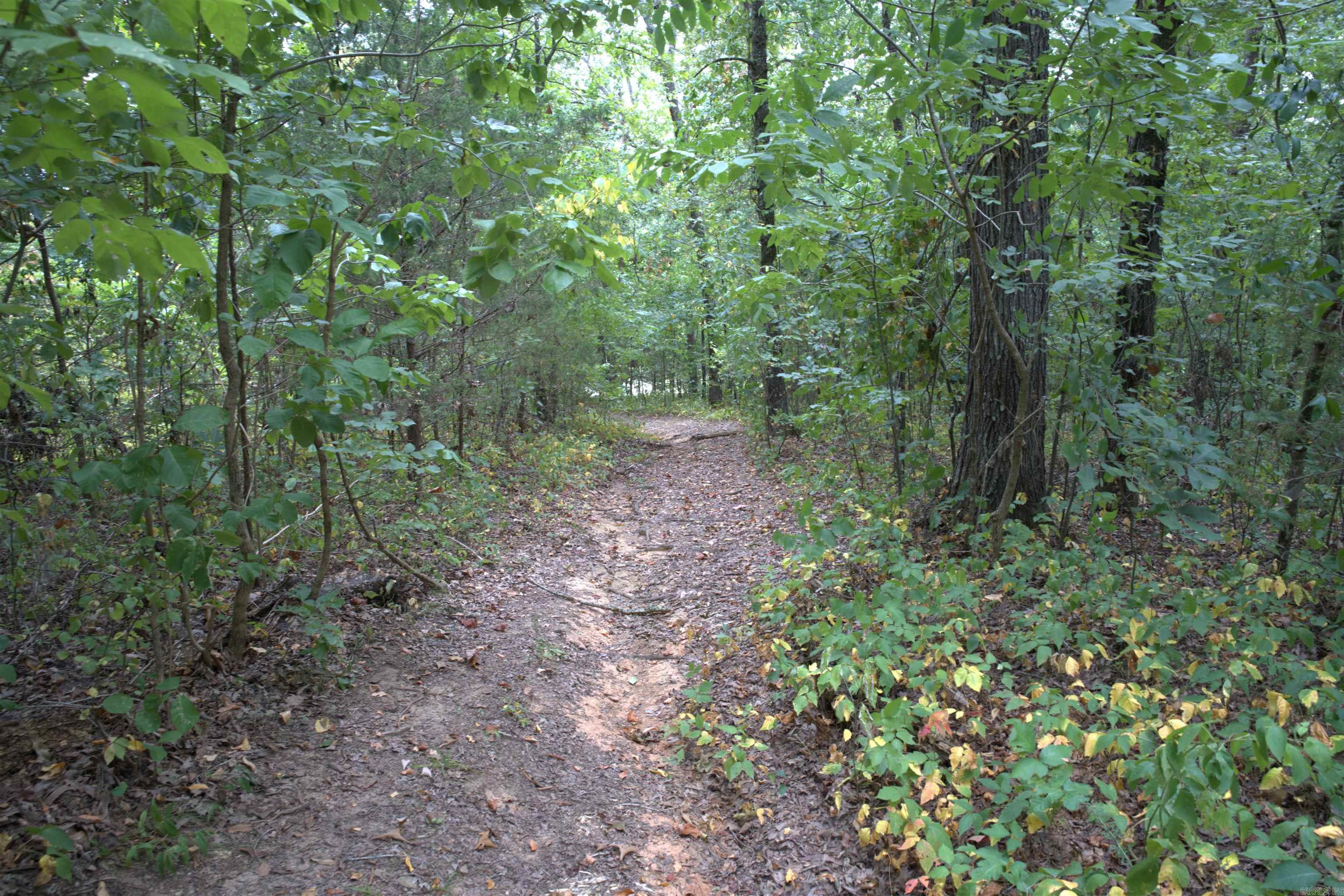 1 Copeland  Romance, AR