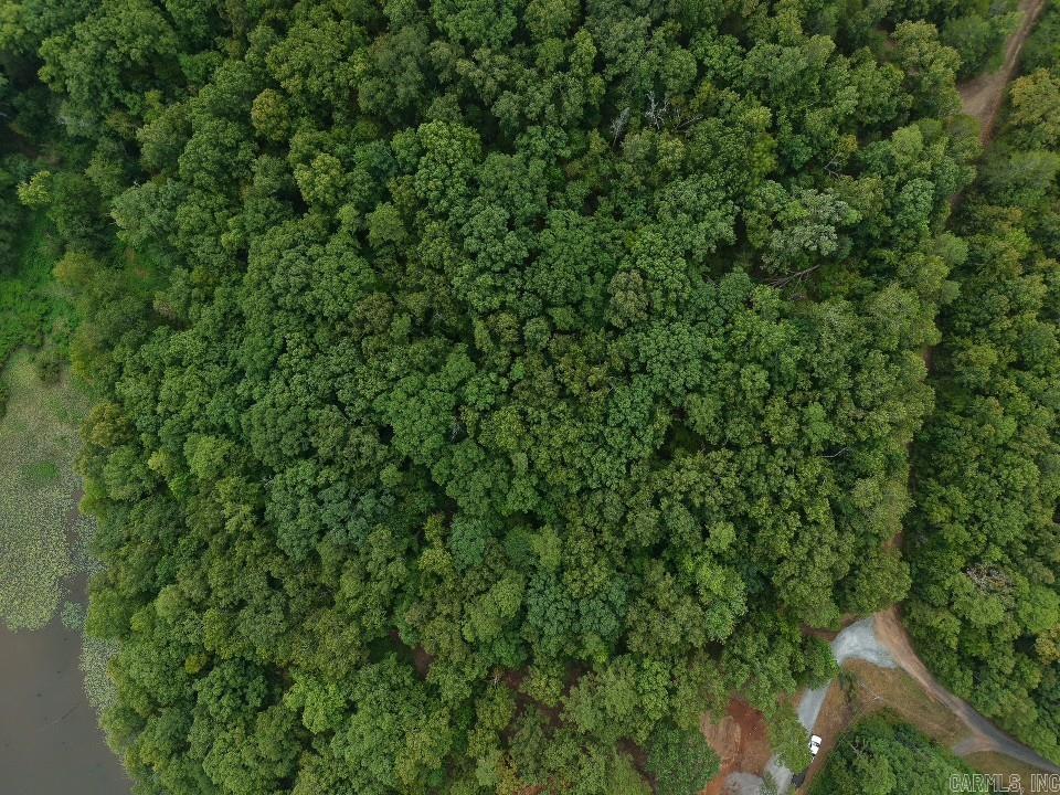 1 Copeland  Romance, AR