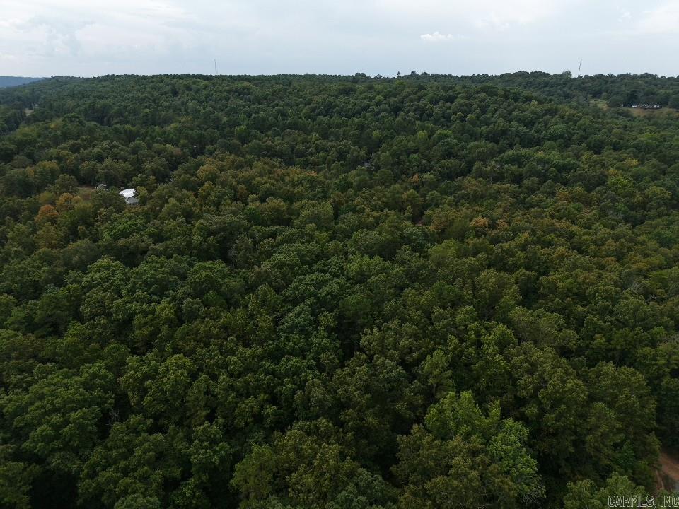 1 Copeland  Romance, AR