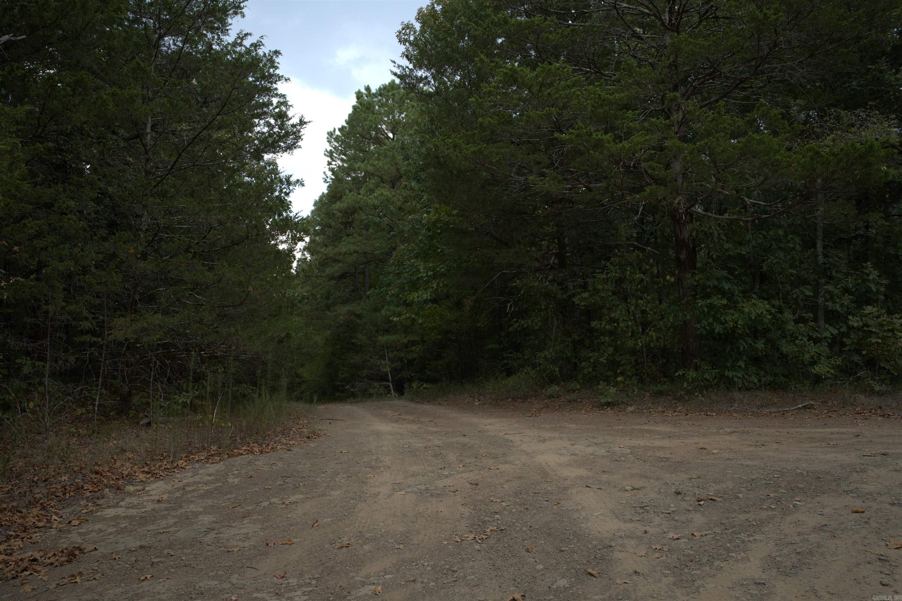 1 Copeland  Romance, AR