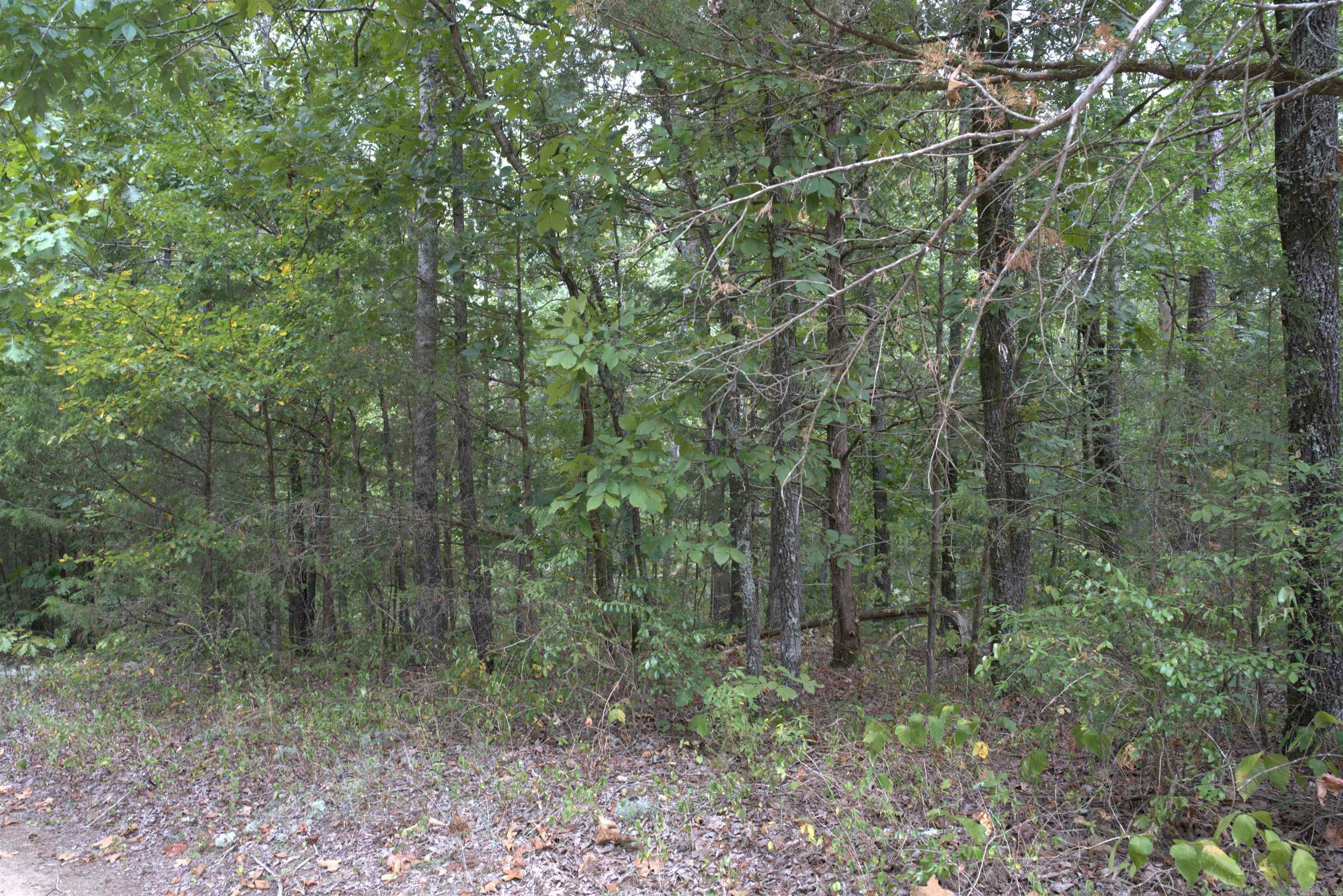 1 Copeland  Romance, AR