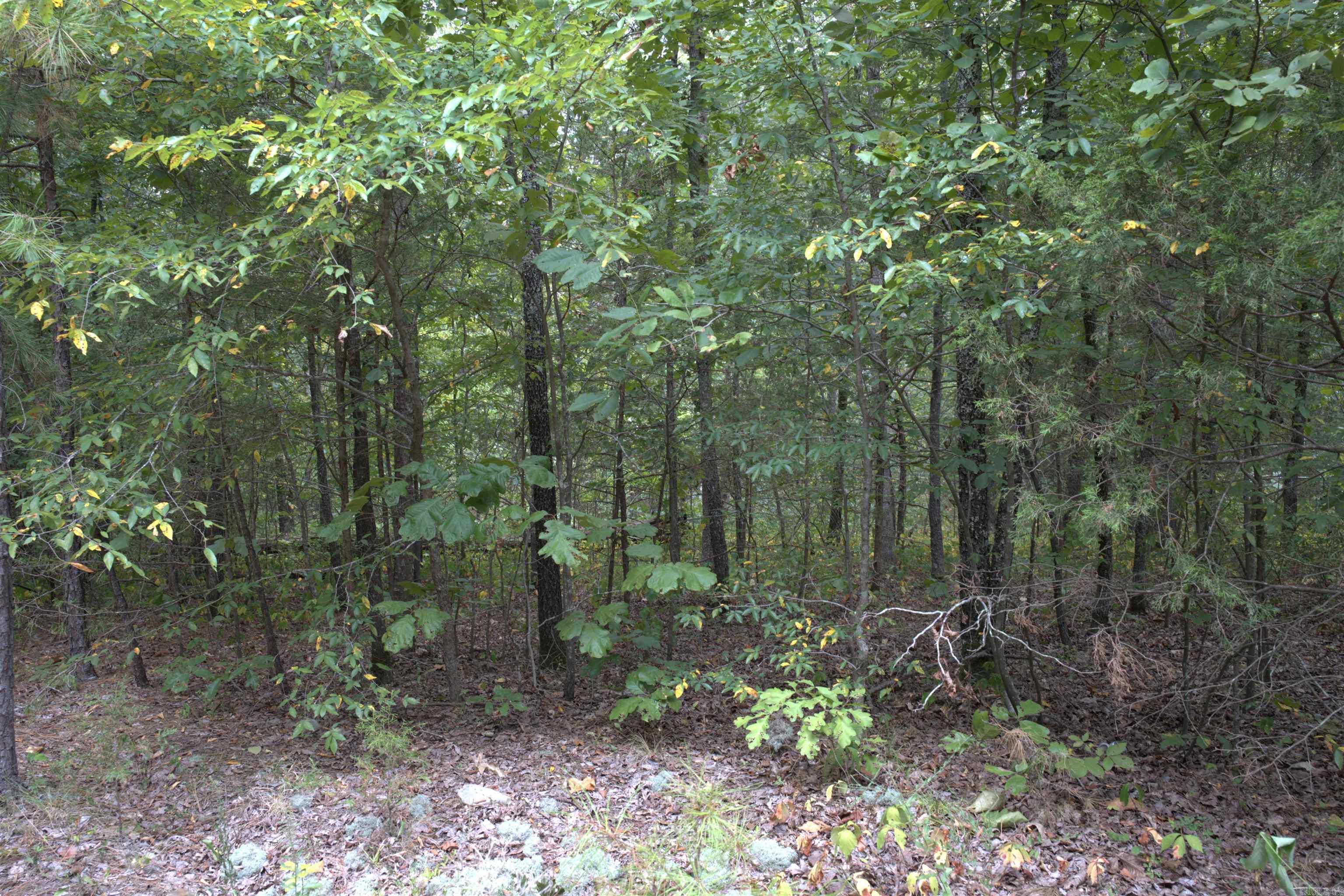 1 Copeland  Romance, AR