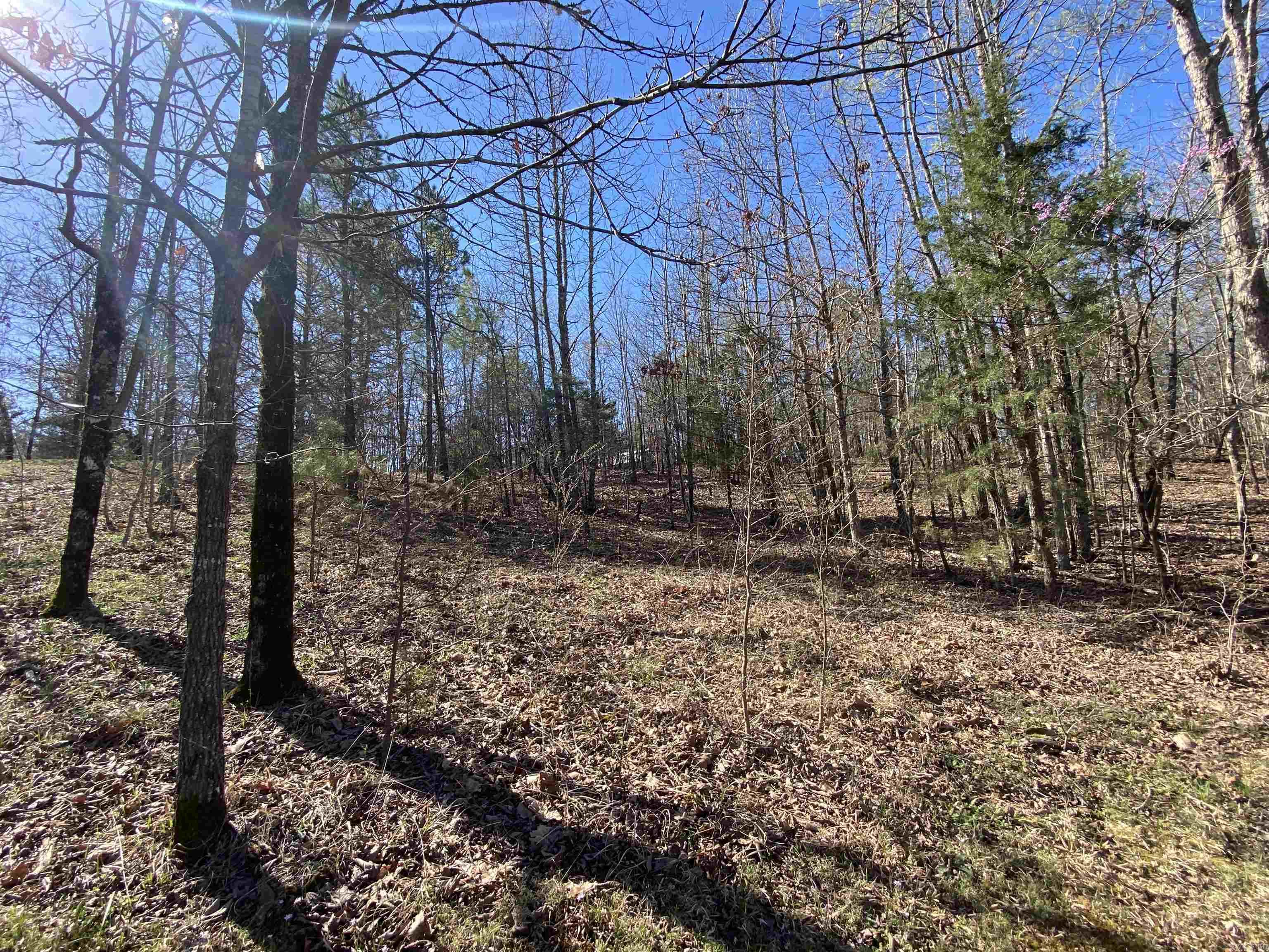 48 Wildlife  Mount Ida, AR