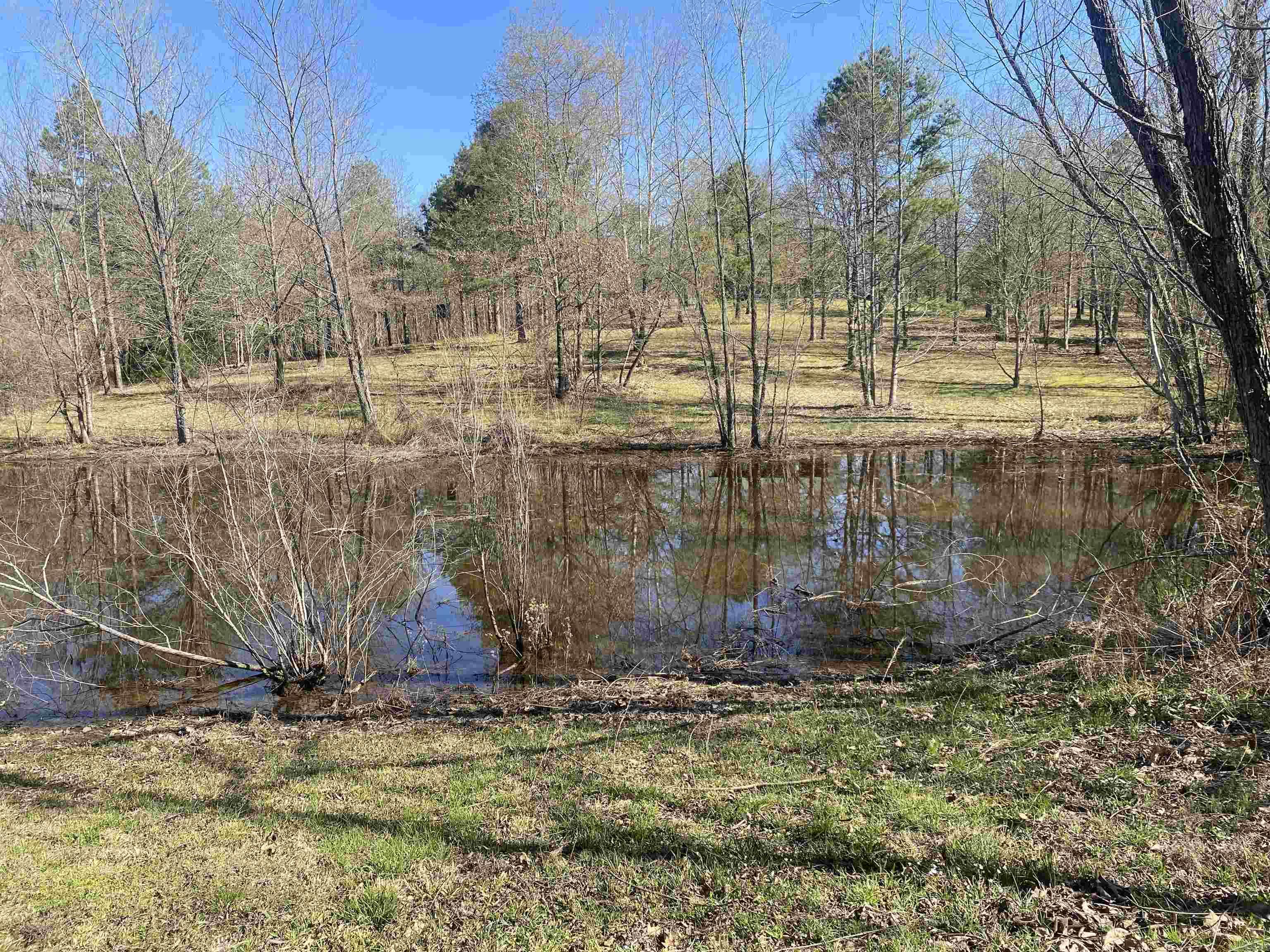 48 Wildlife  Mount Ida, AR
