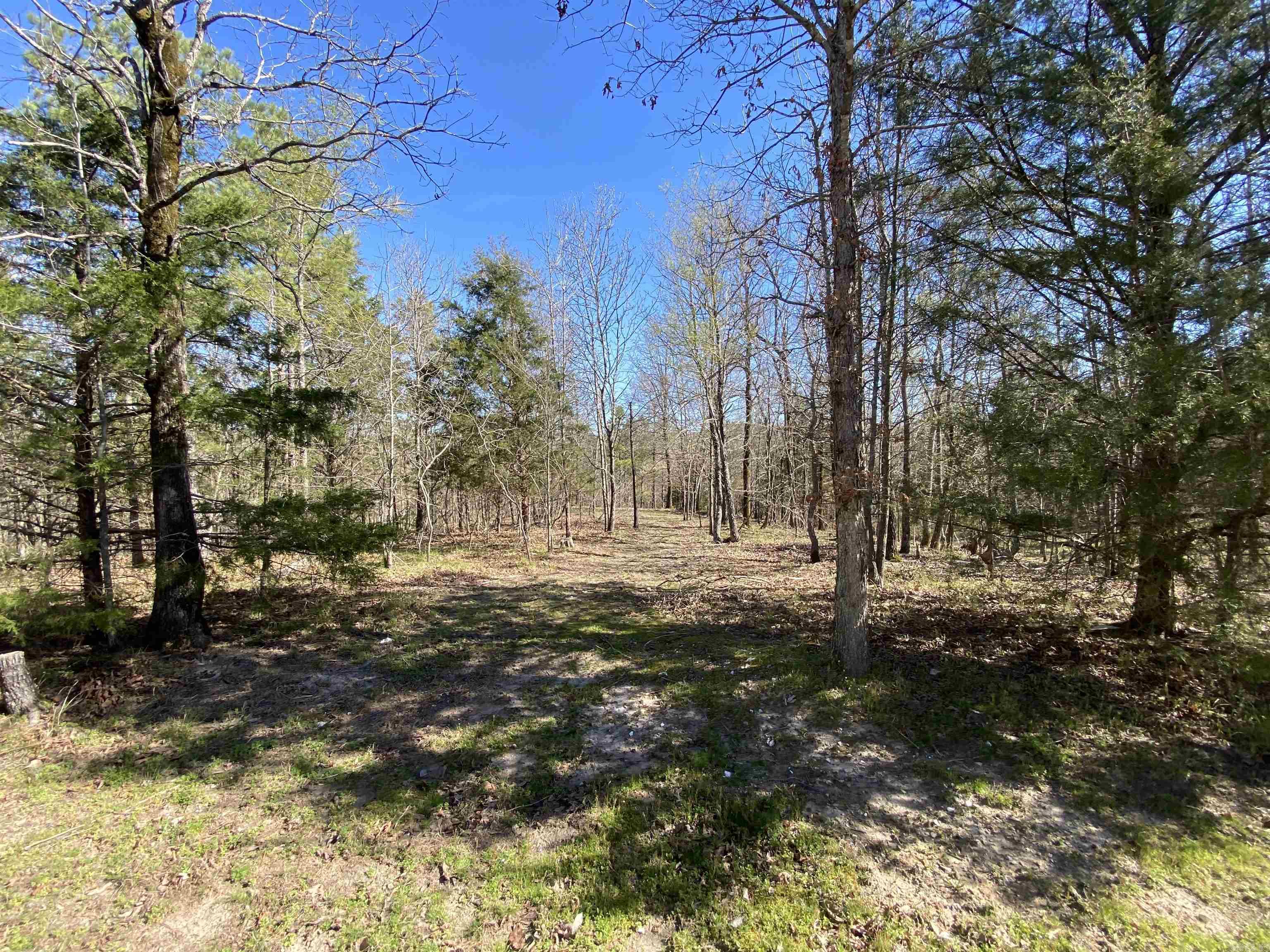 48 Wildlife  Mount Ida, AR