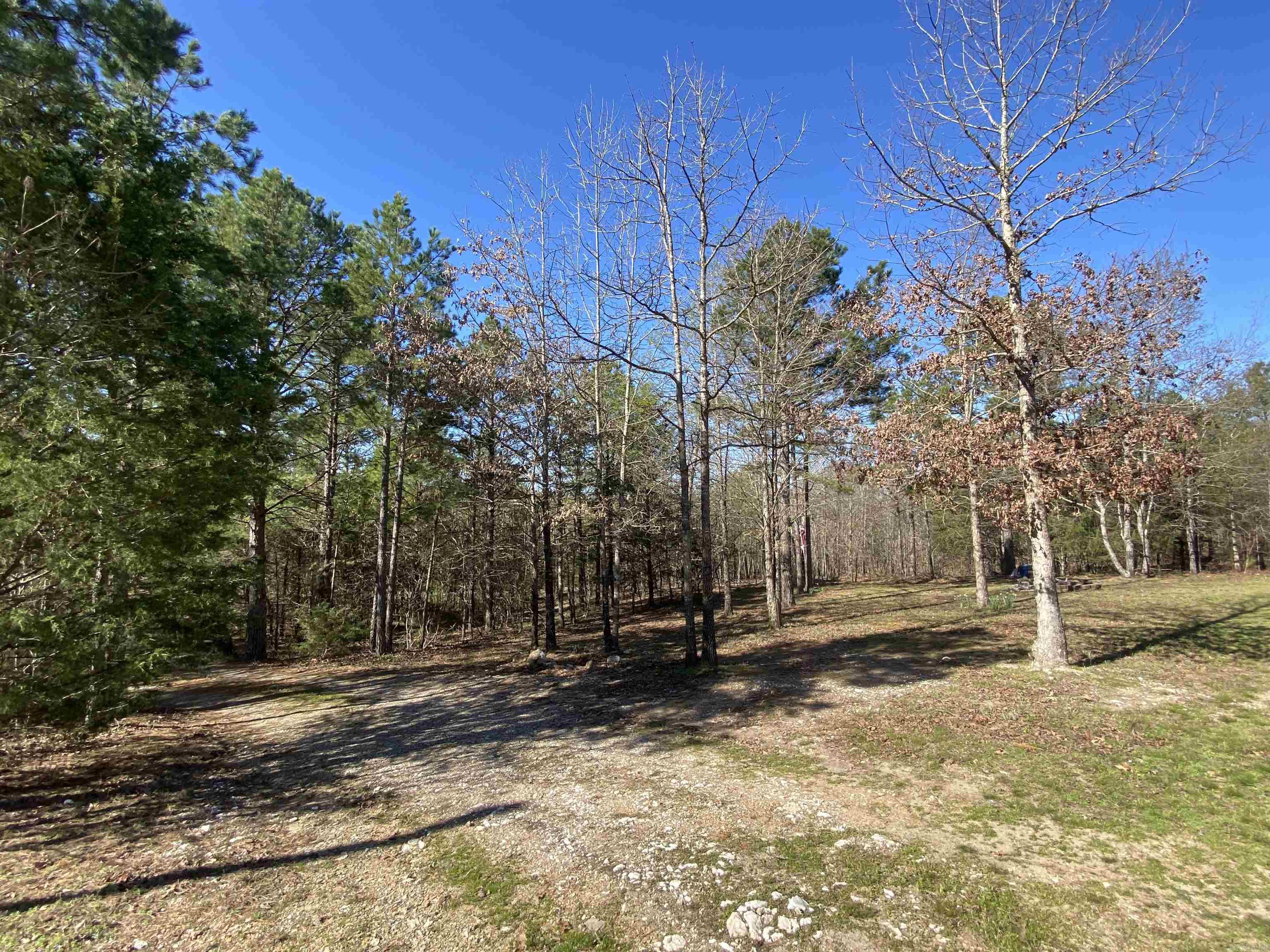 48 Wildlife  Mount Ida, AR
