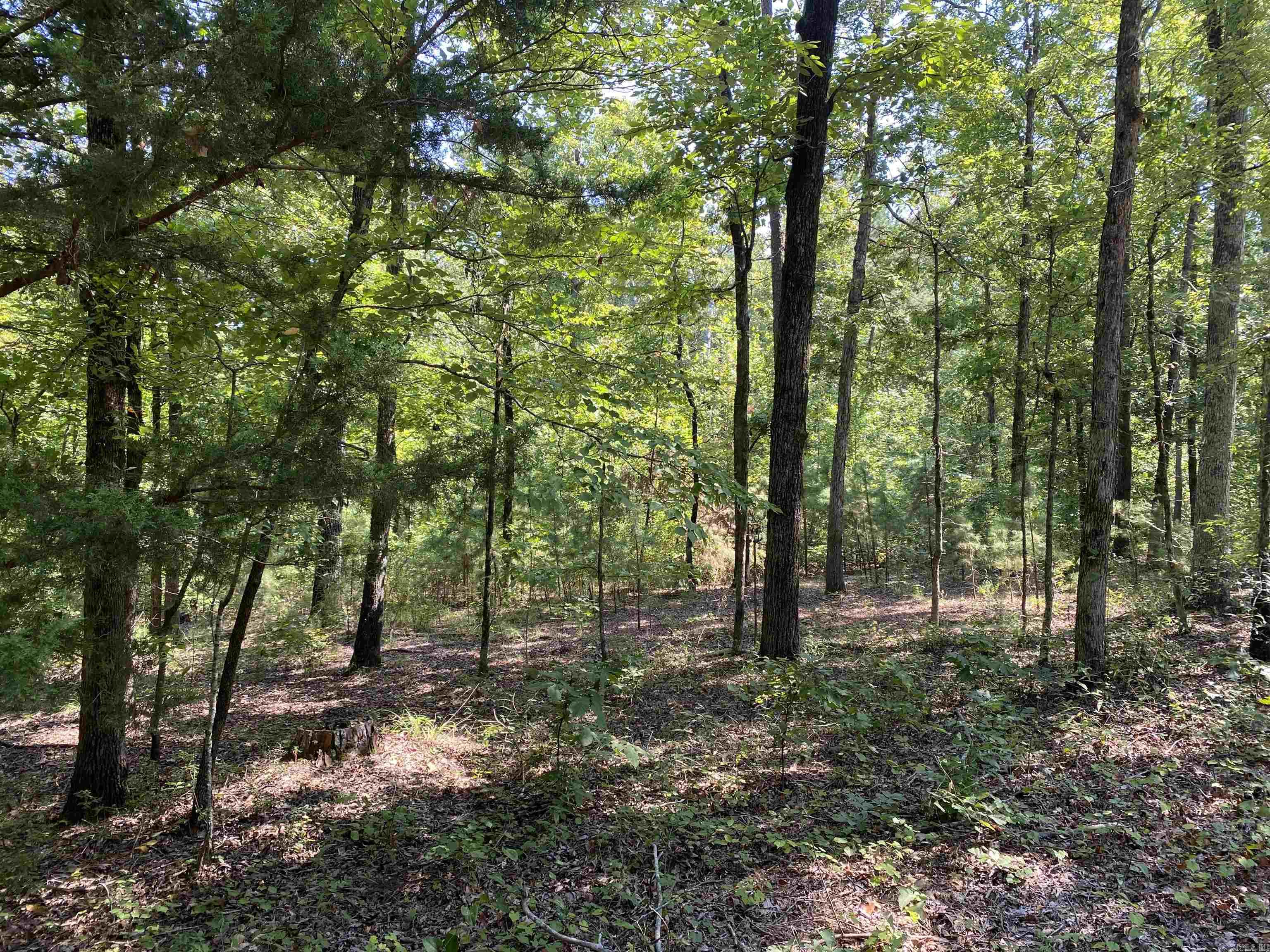 196 Pineview  Mount Ida, AR