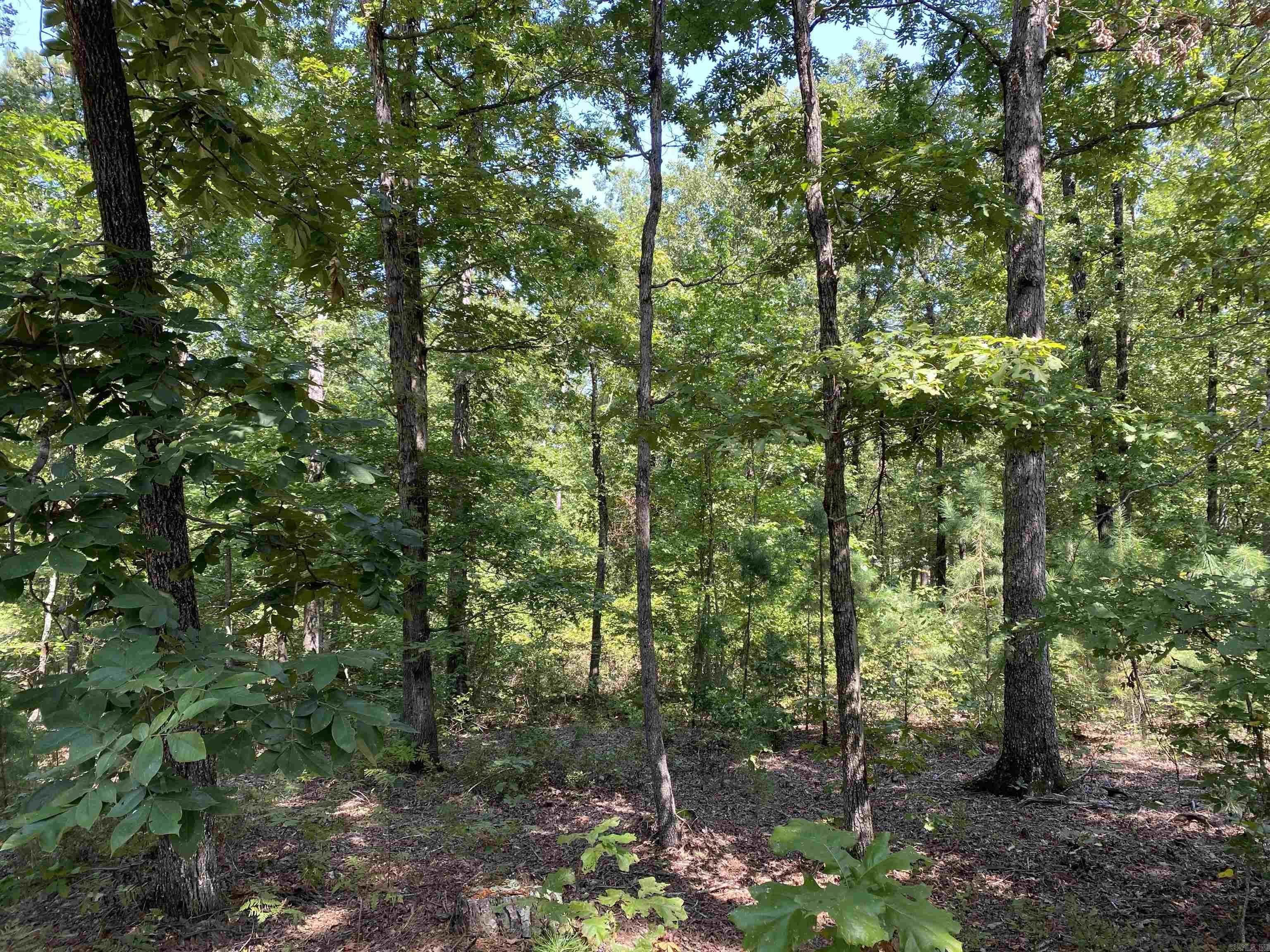 196 Pineview  Mount Ida, AR