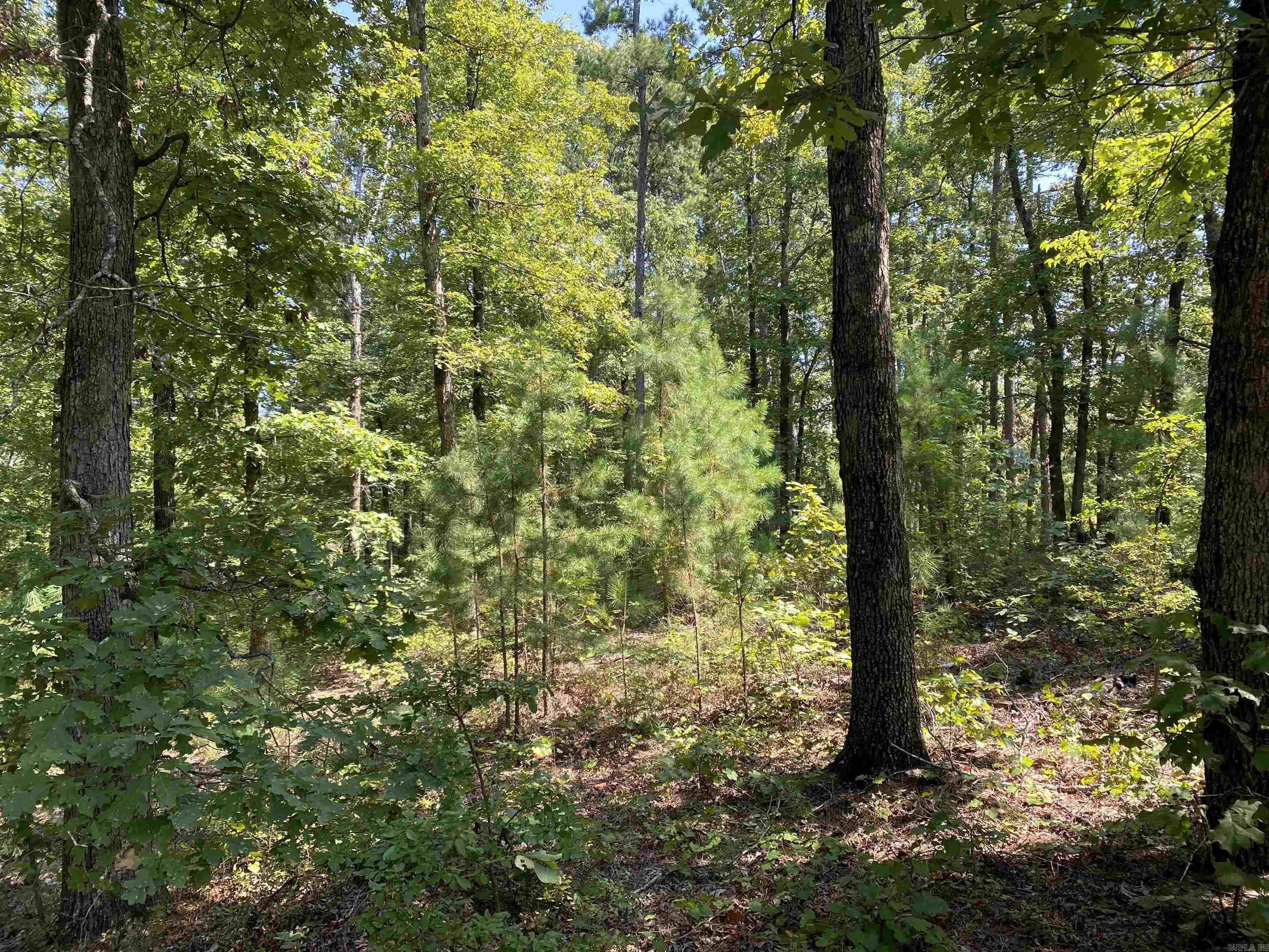 196 Pineview  Mount Ida, AR