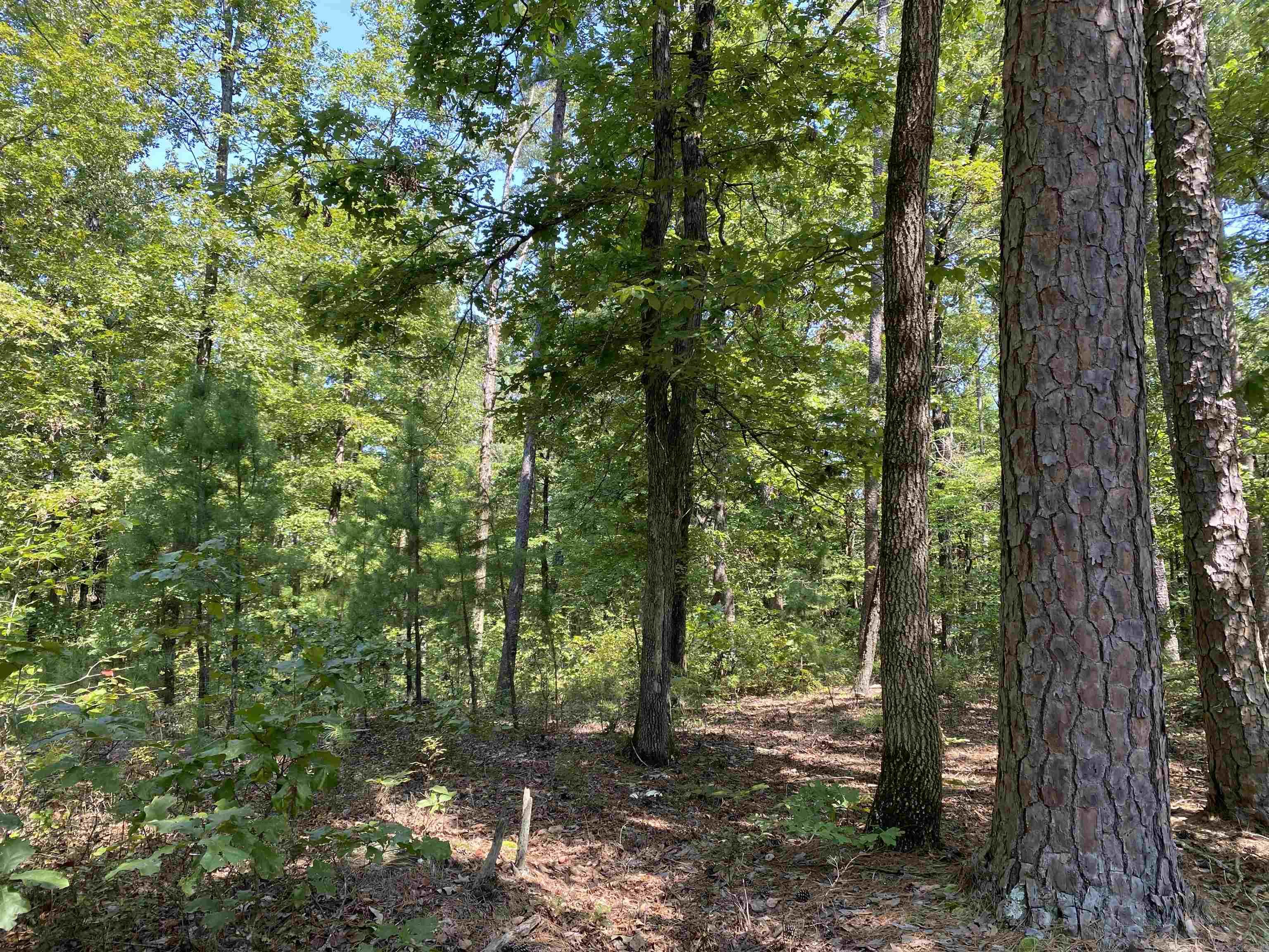196 Pineview  Mount Ida, AR