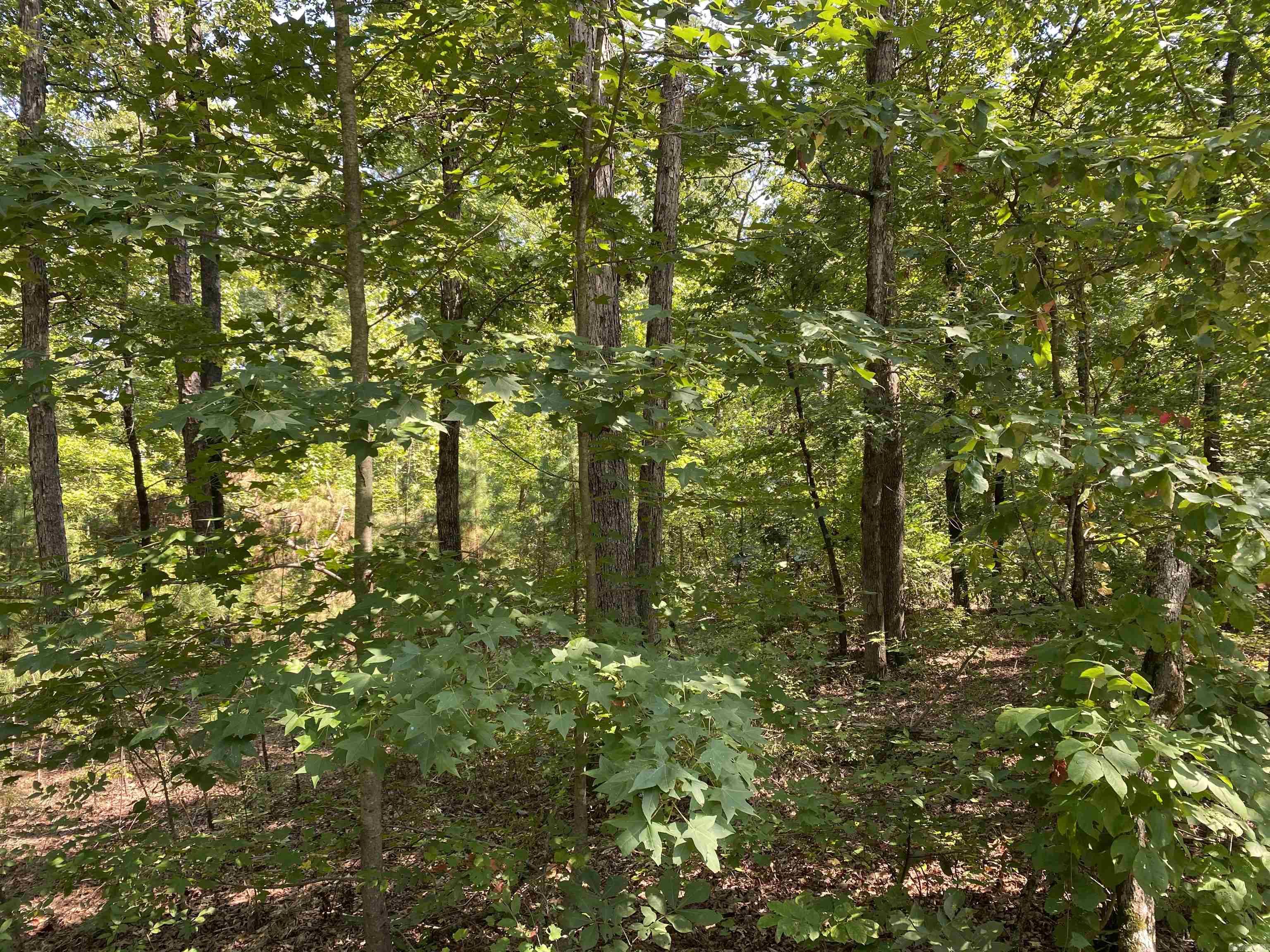 196 Pineview  Mount Ida, AR