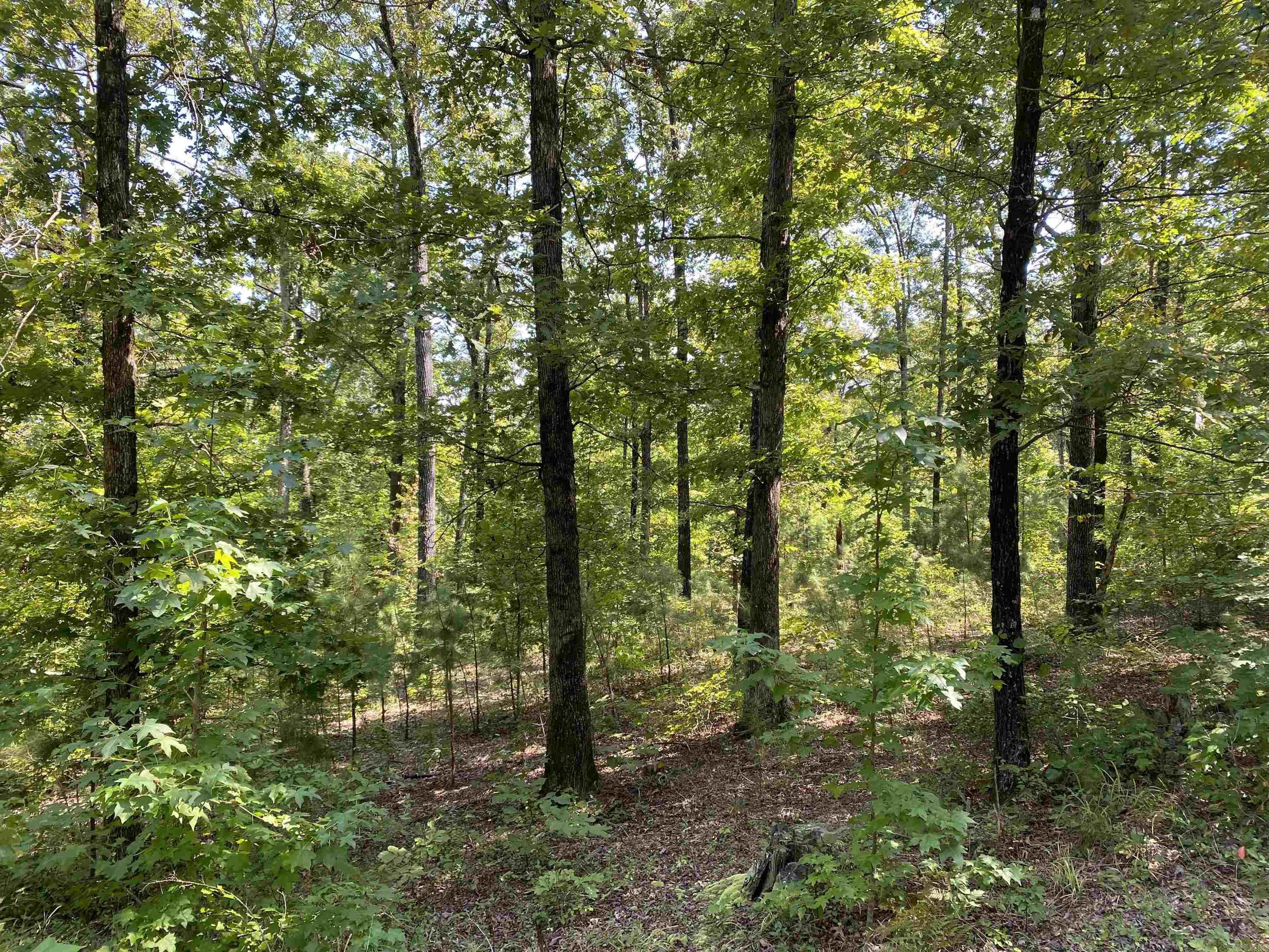 196 Pineview  Mount Ida, AR