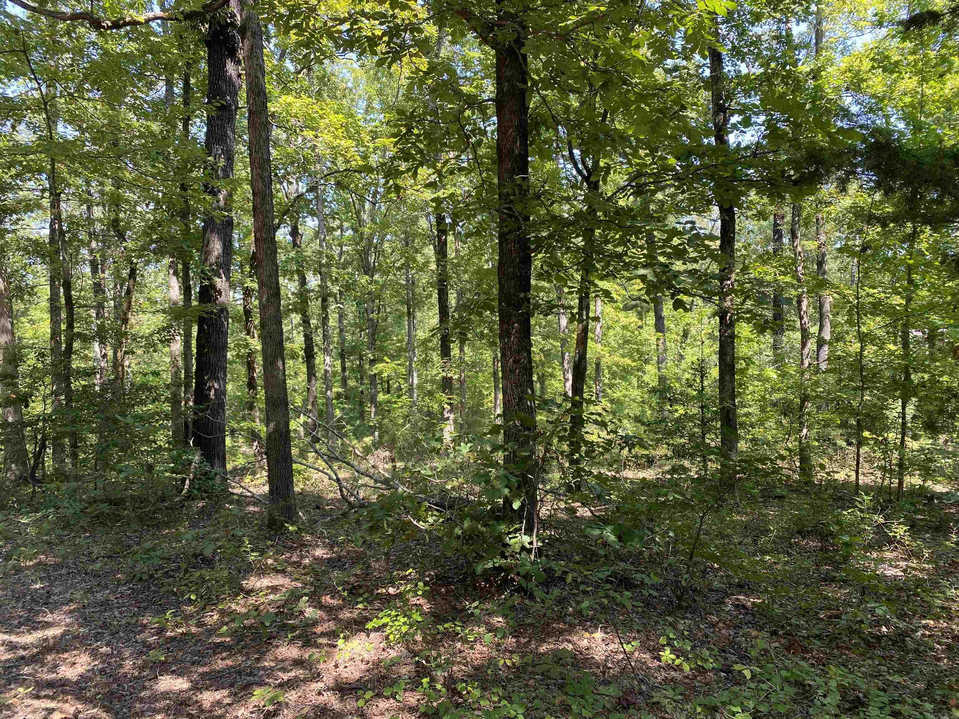 196 Pineview  Mount Ida, AR