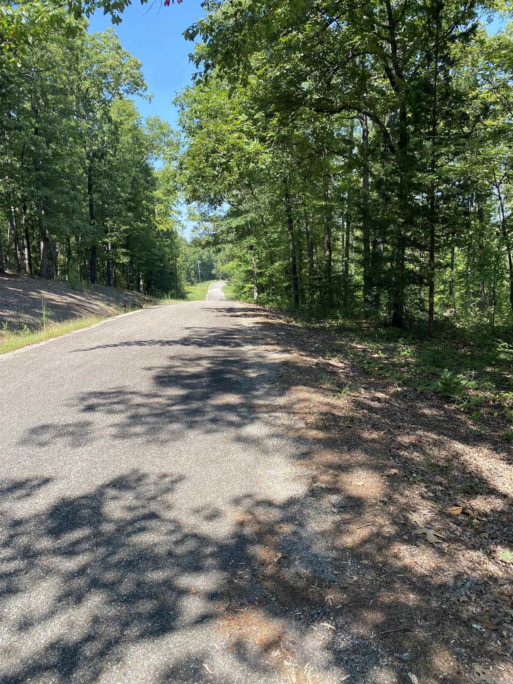196 Pineview  Mount Ida, AR