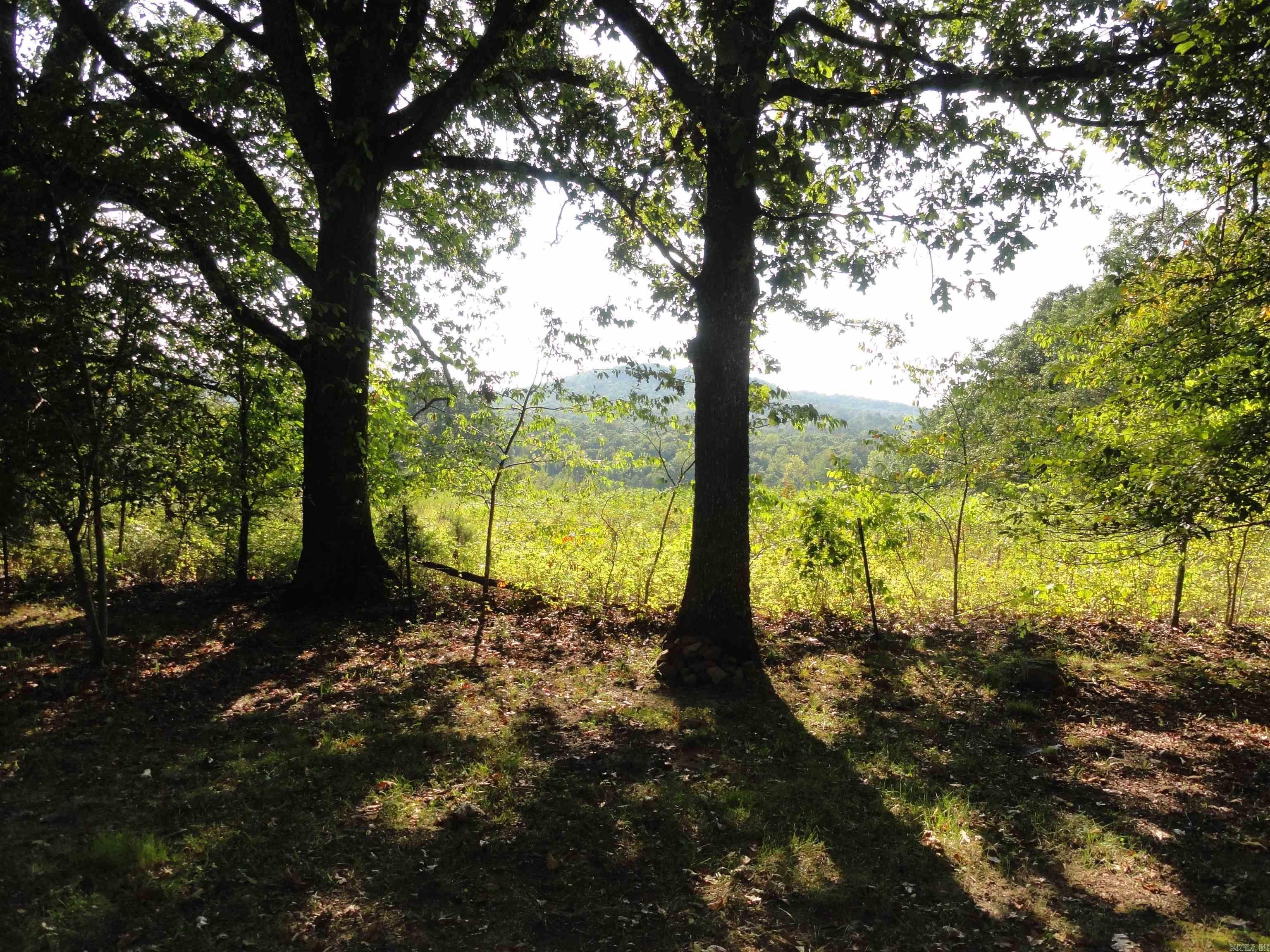 1272 Crossing  Marshall, AR