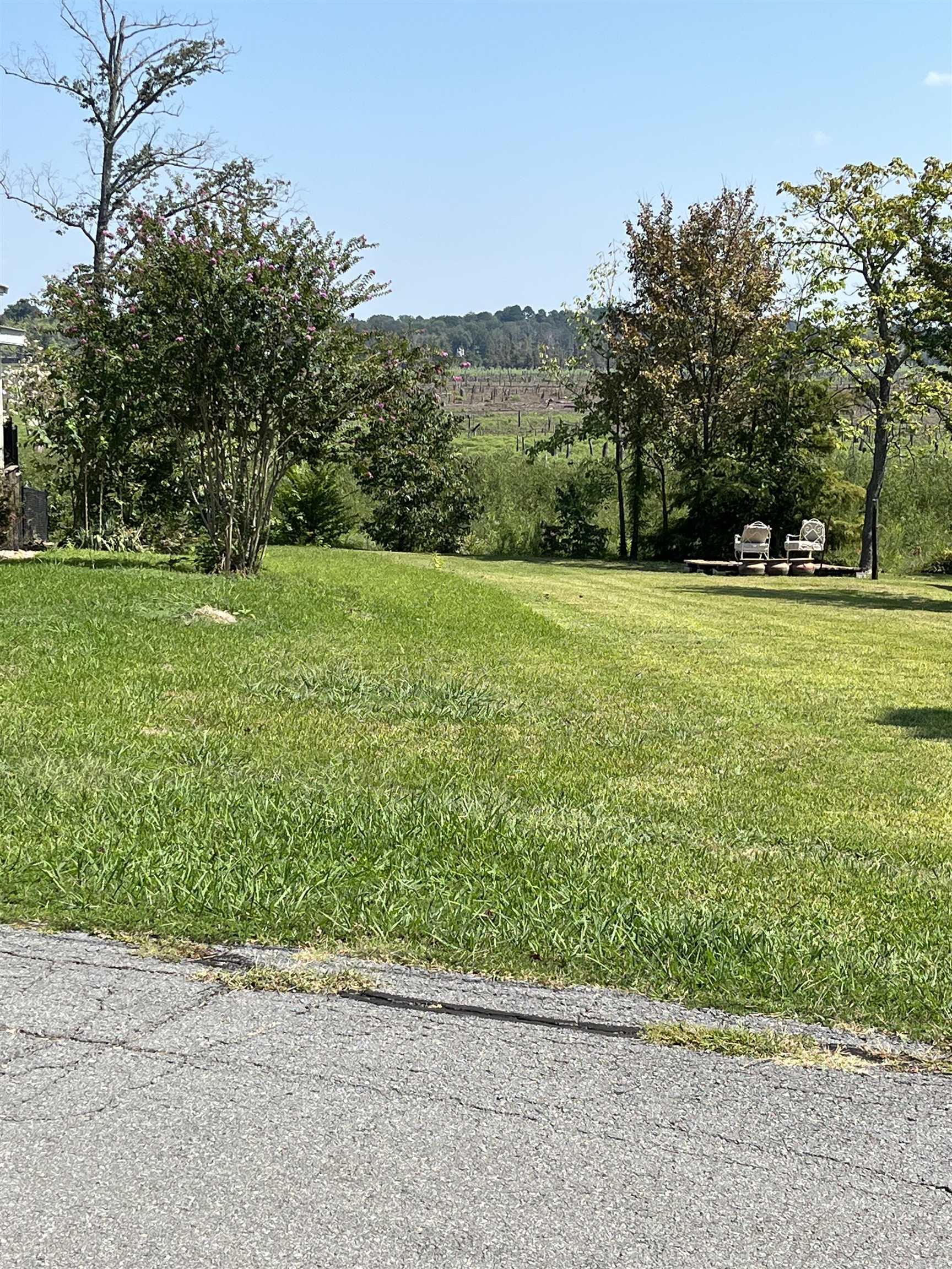22 Breva Circle  Mayflower, AR