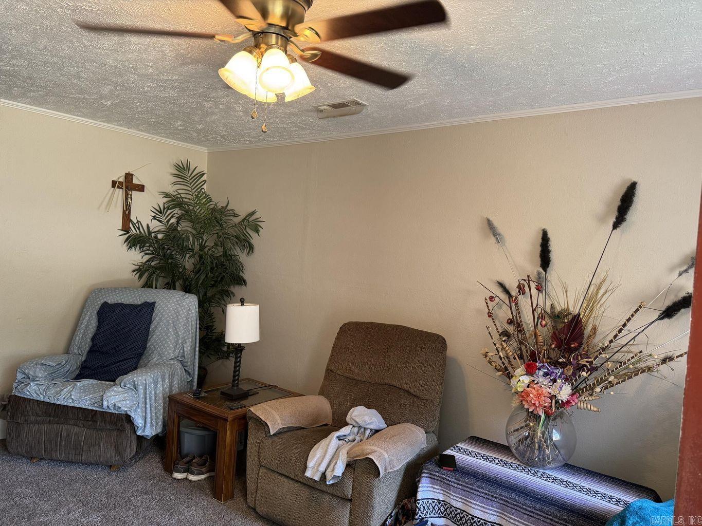 20 Diane  Ash Flat, AR