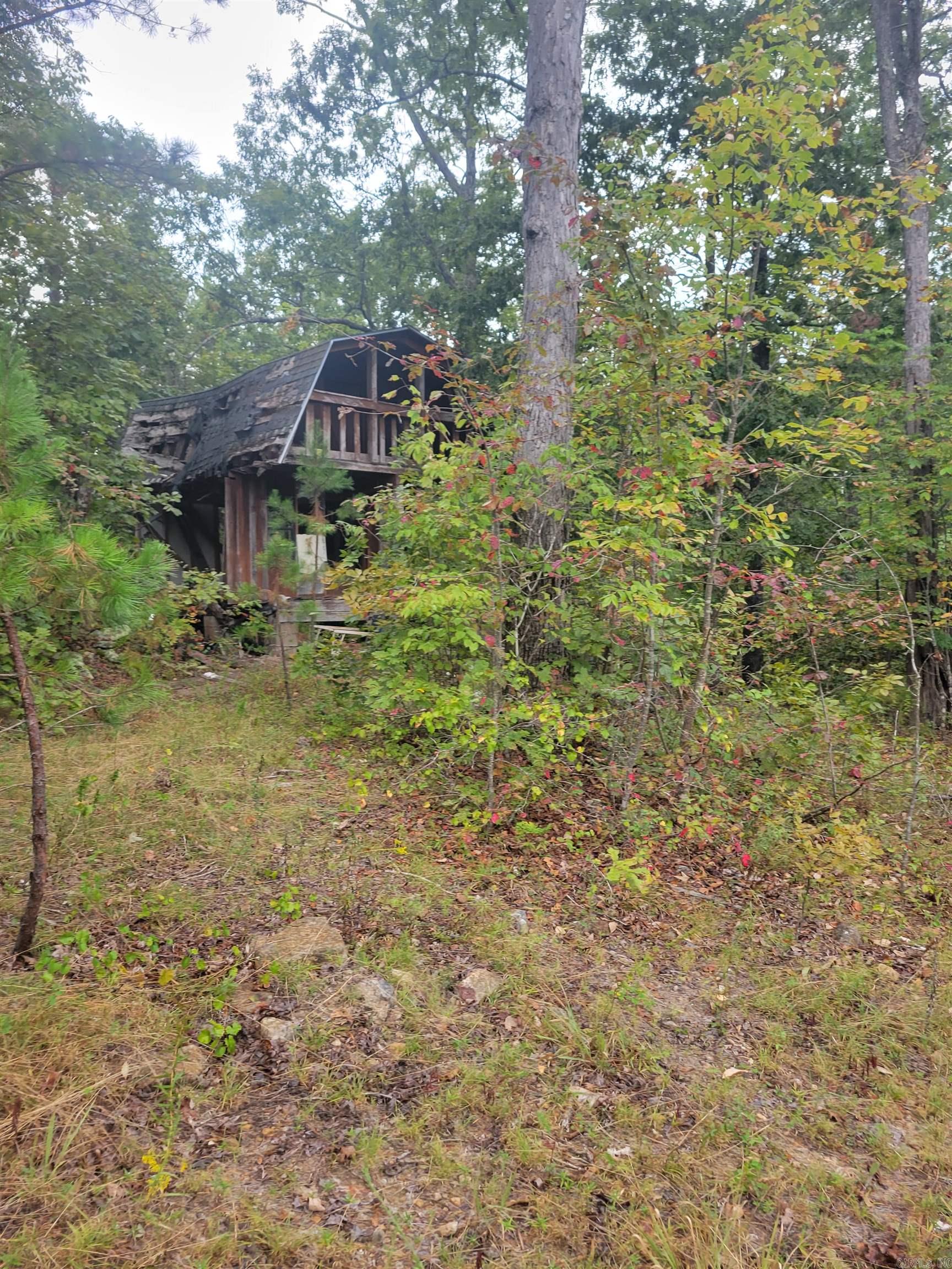 00 Brooklyn  Leslie, AR