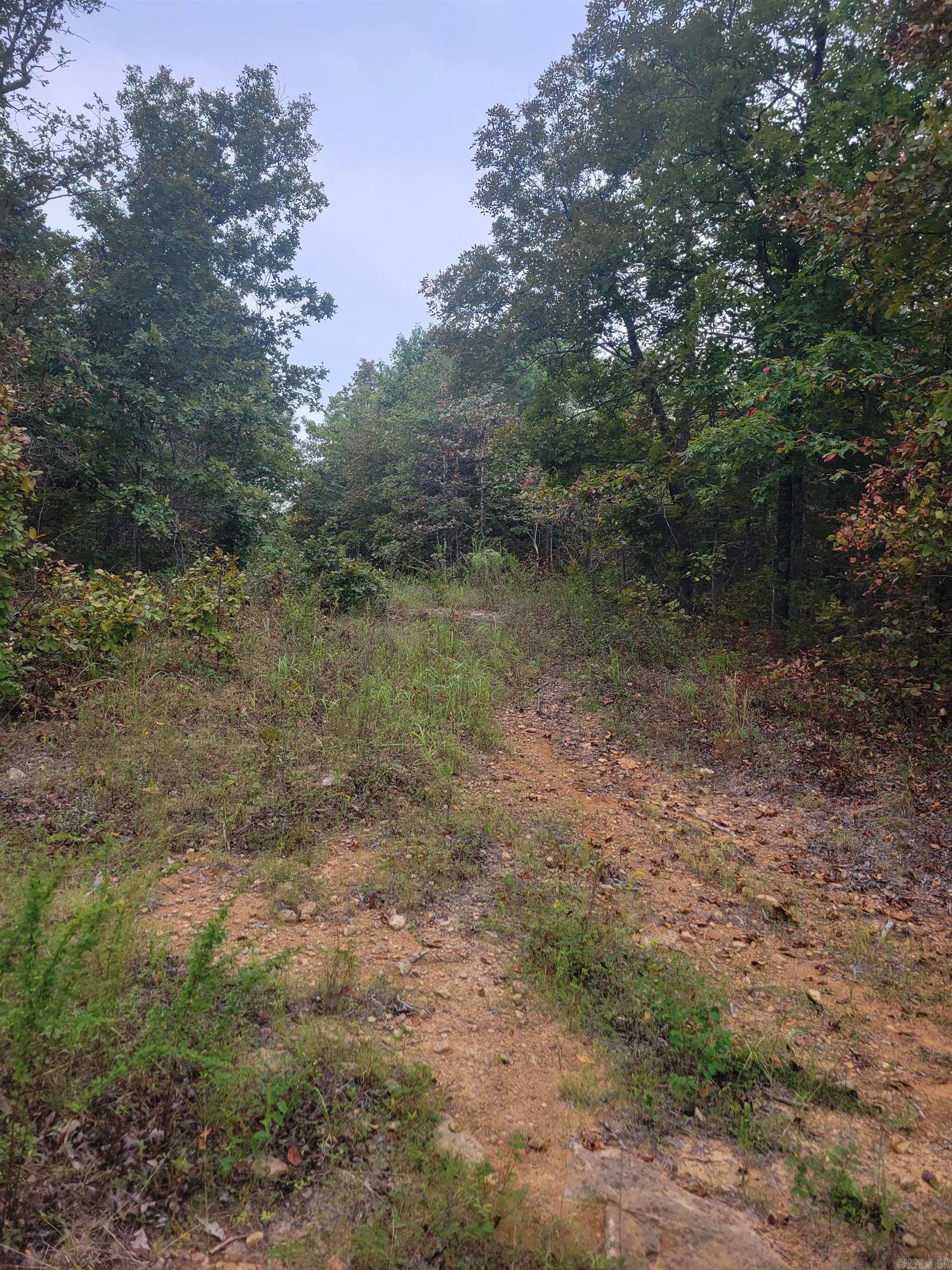 00 Brooklyn  Leslie, AR