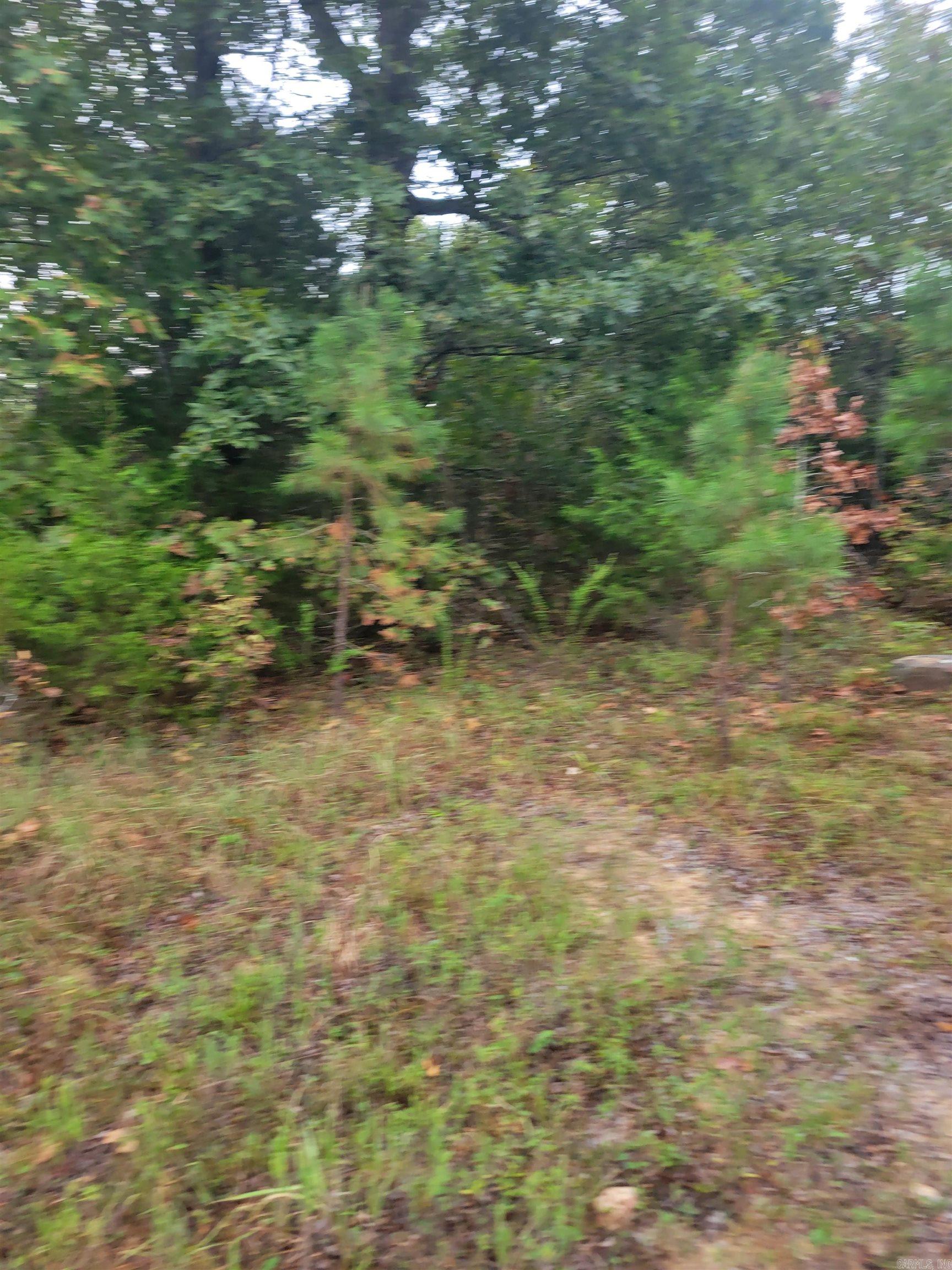 00 Brooklyn  Leslie, AR