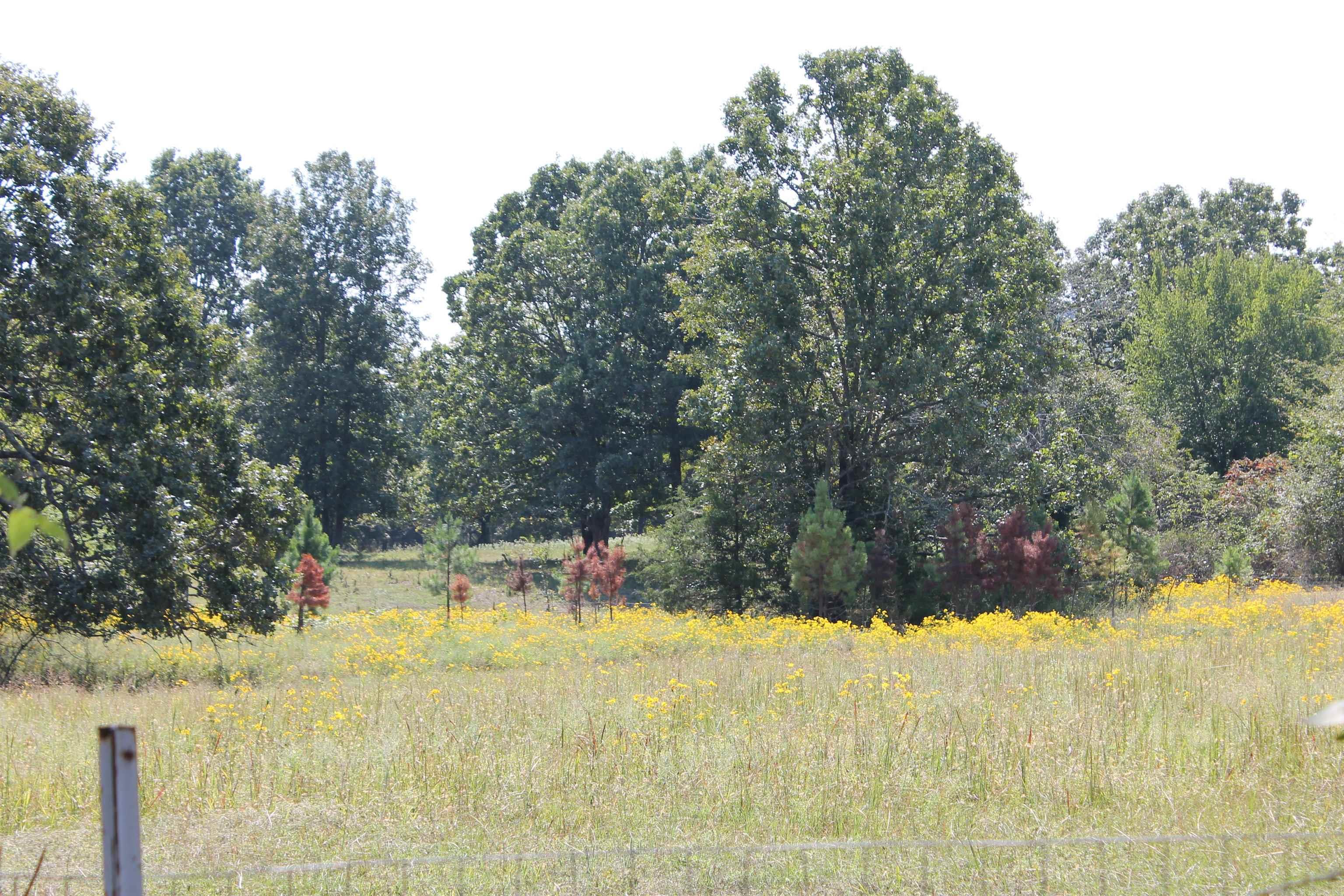 2462 Hilltop  Marshall, AR