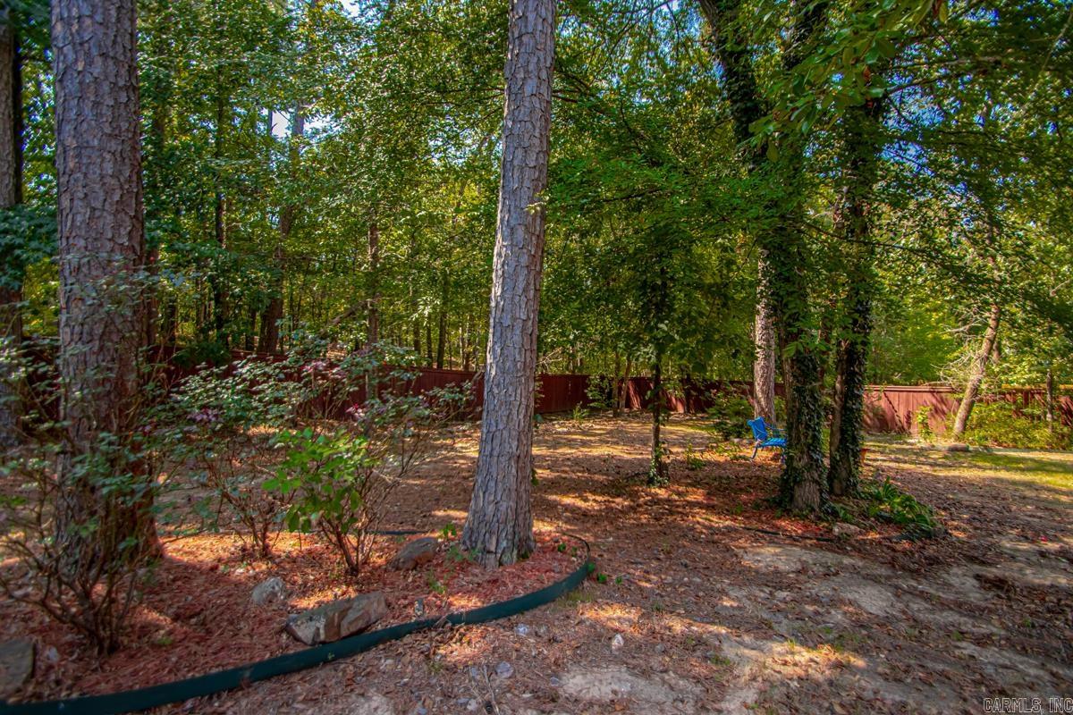 28 Bronte  Little Rock, AR