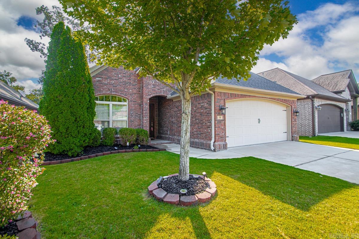 9 Bishop  Little Rock, AR