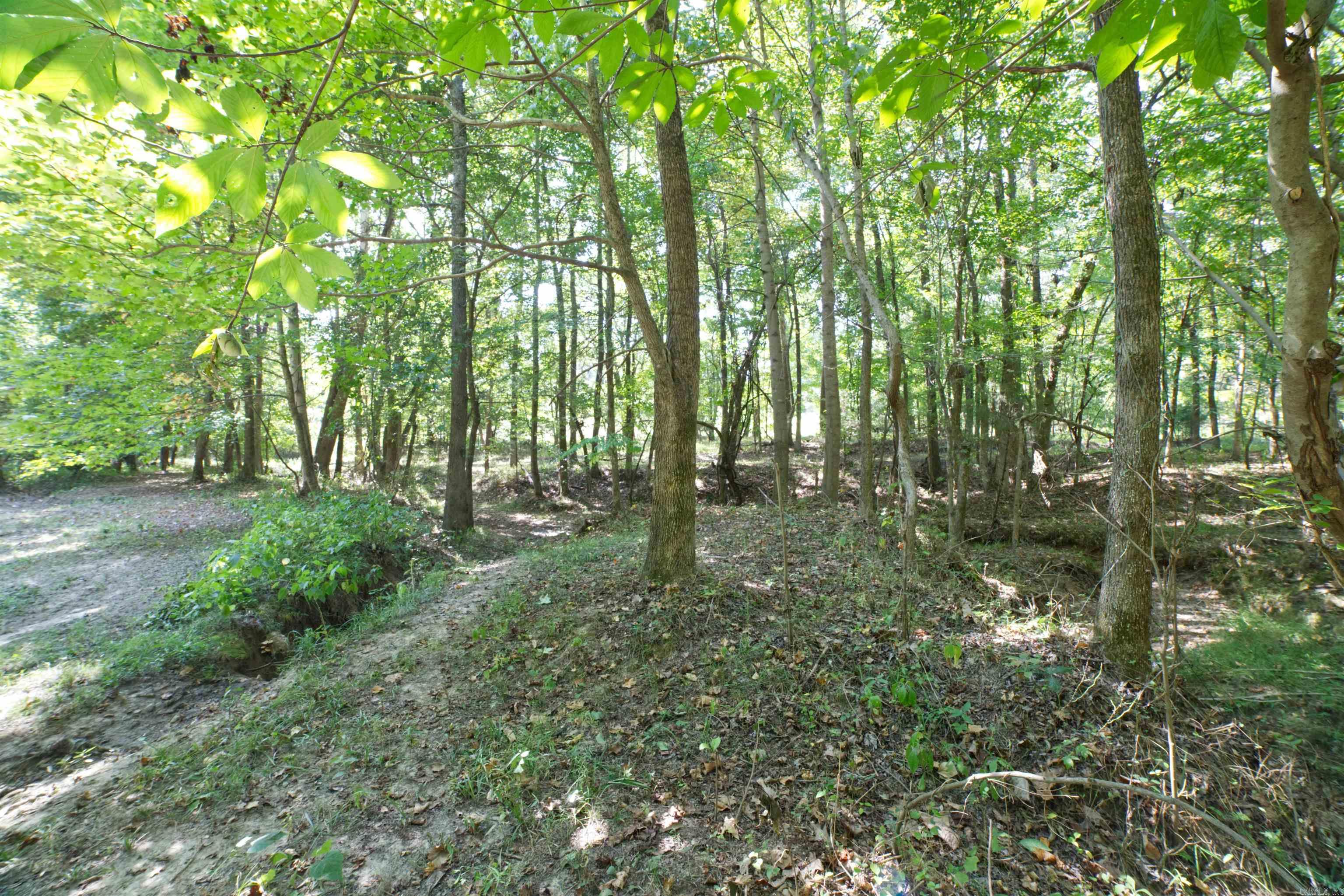 5 MOCKINGBIRD CIR  Marmaduke, AR