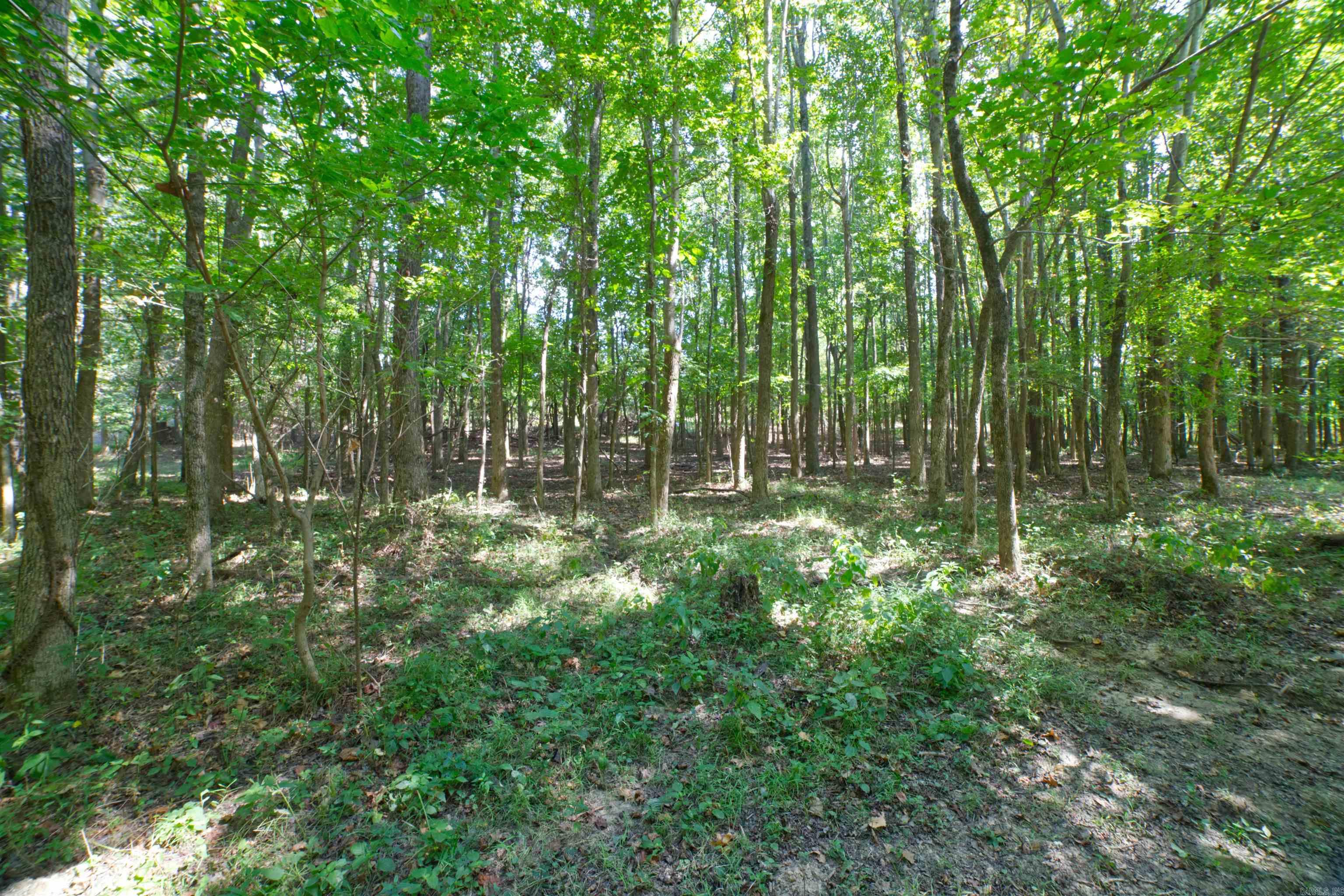 5 MOCKINGBIRD CIR  Marmaduke, AR