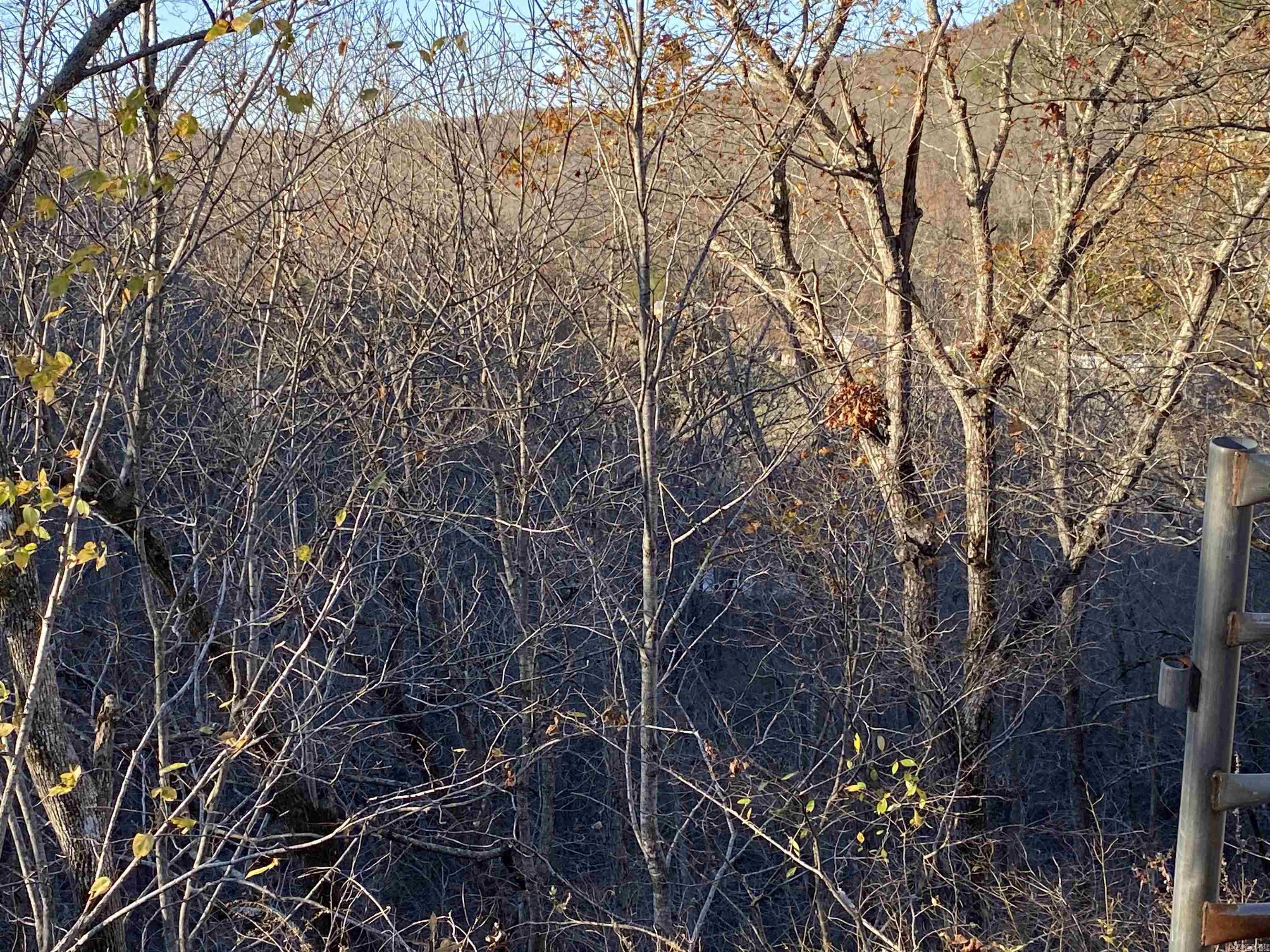 7897 Trace Ridge  Leslie, AR