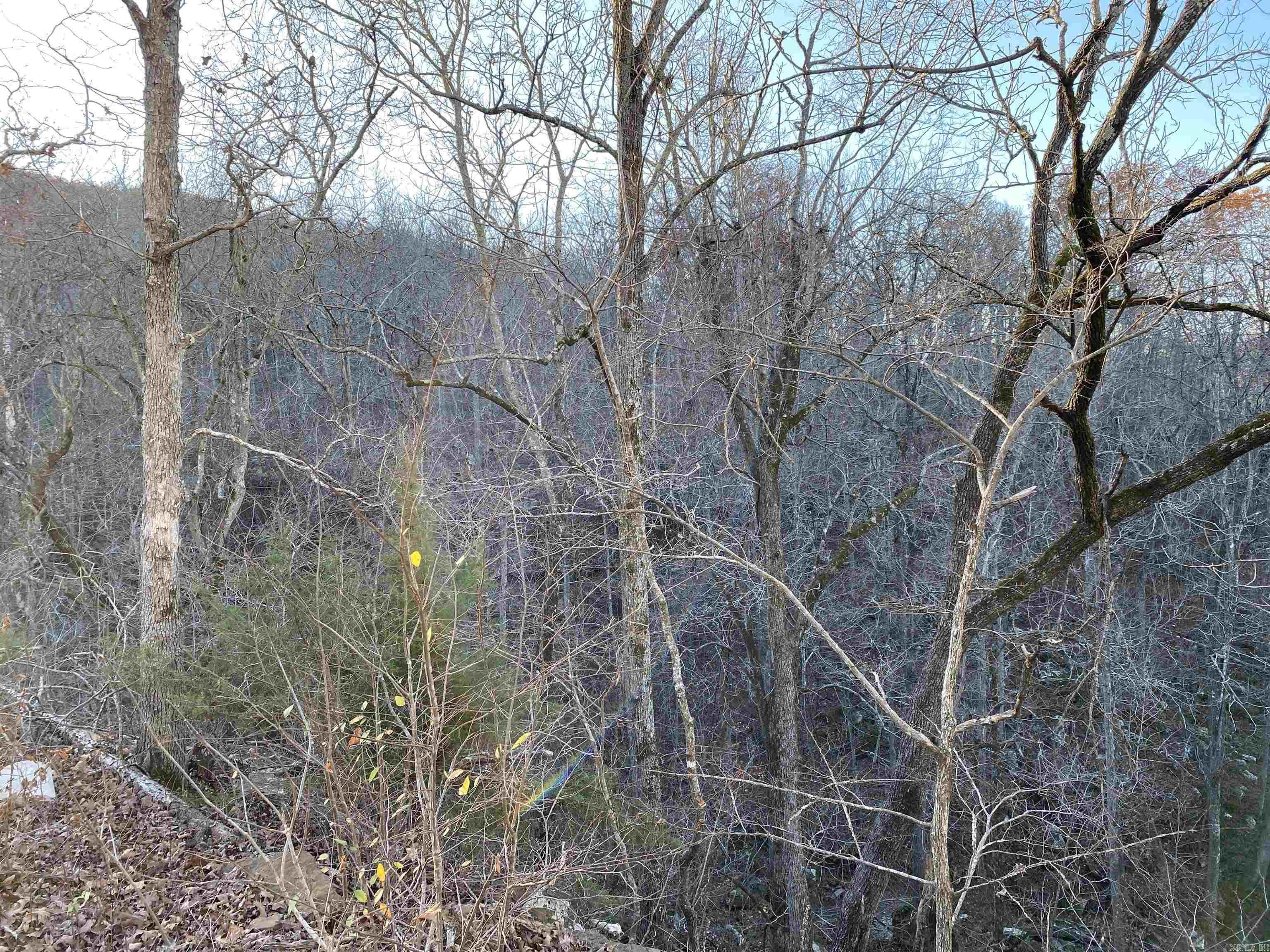 7897 Trace Ridge  Leslie, AR