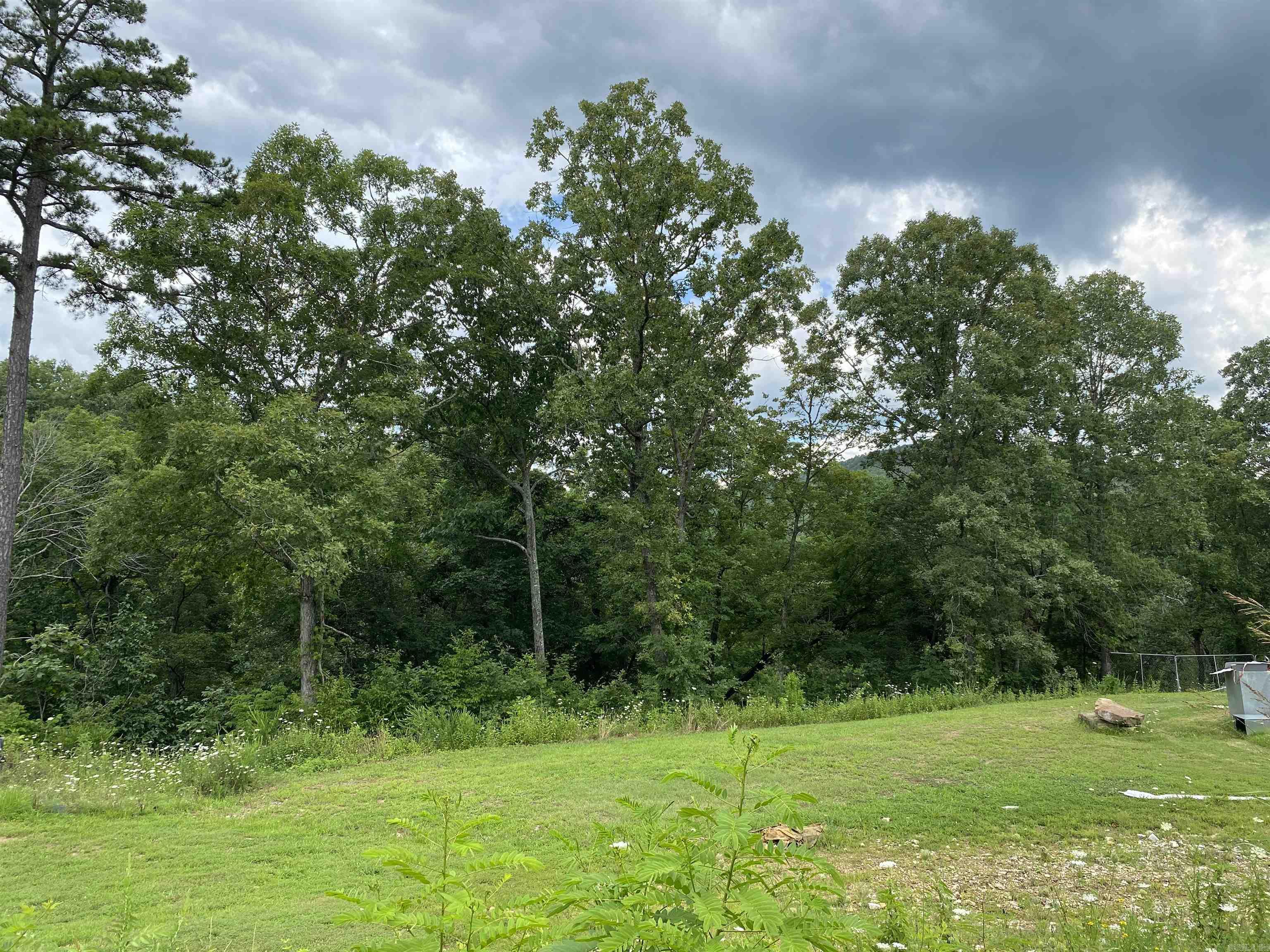 7897 Trace Ridge  Leslie, AR