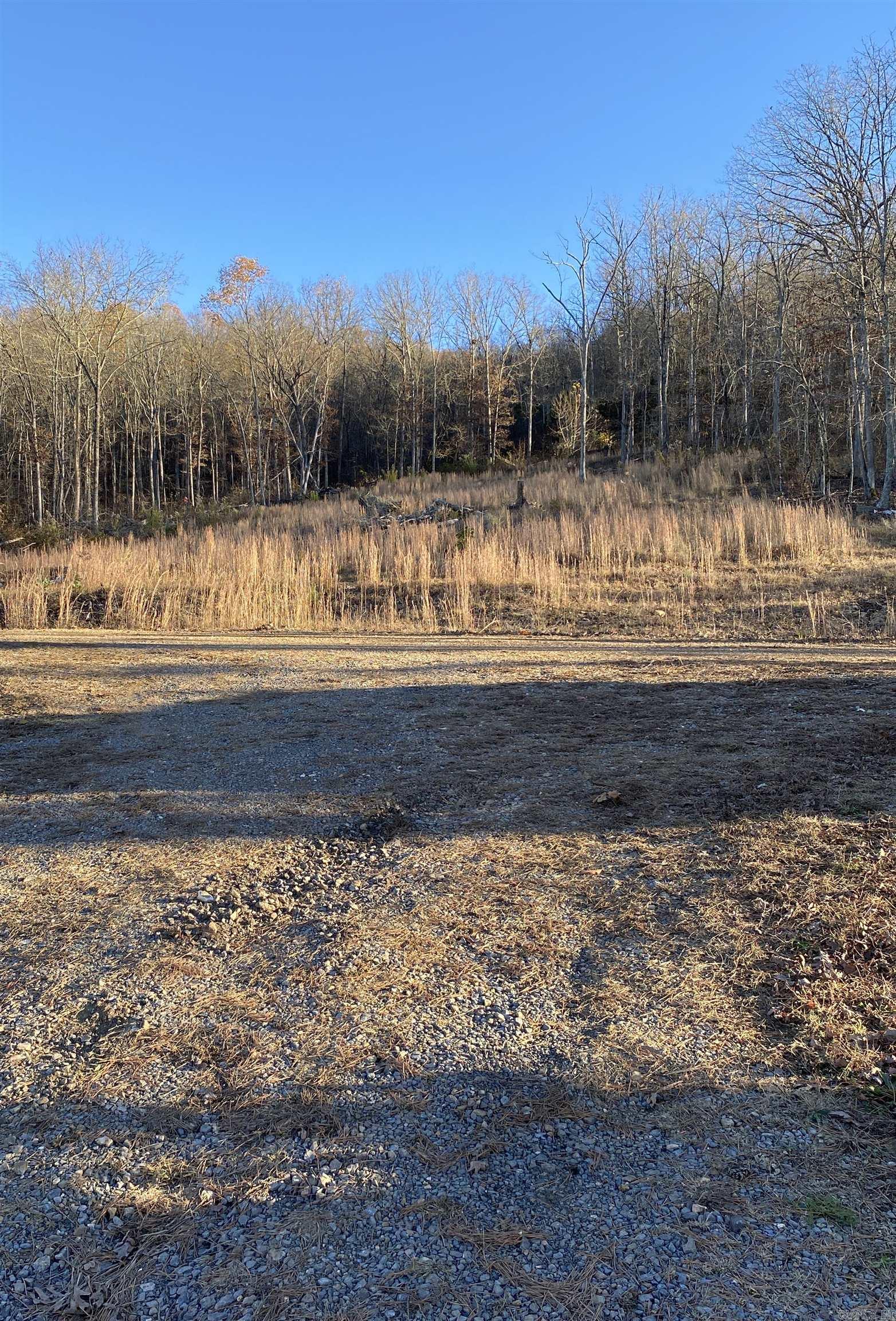 7897 Trace Ridge  Leslie, AR