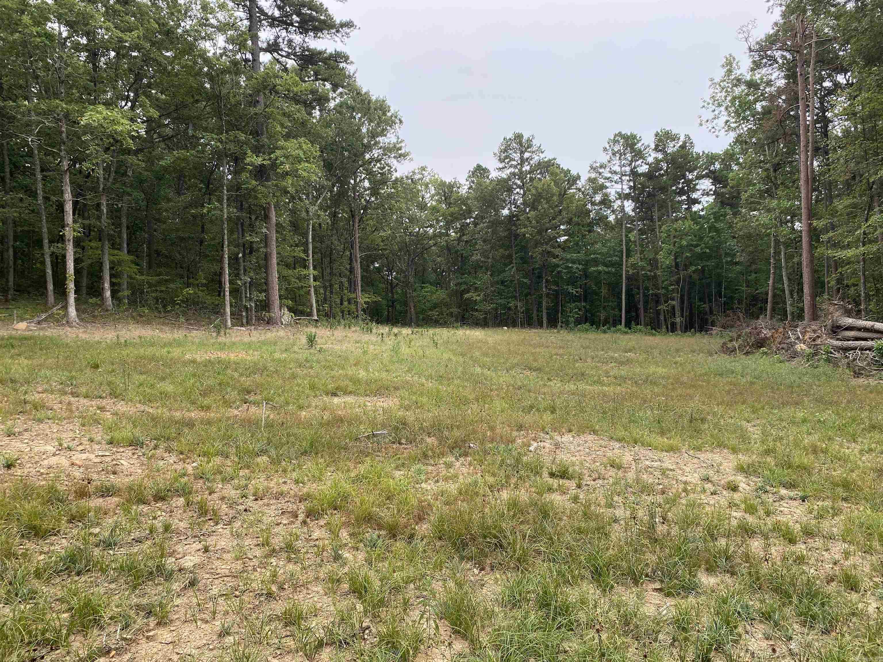 952 Wildwood  Marshall, AR