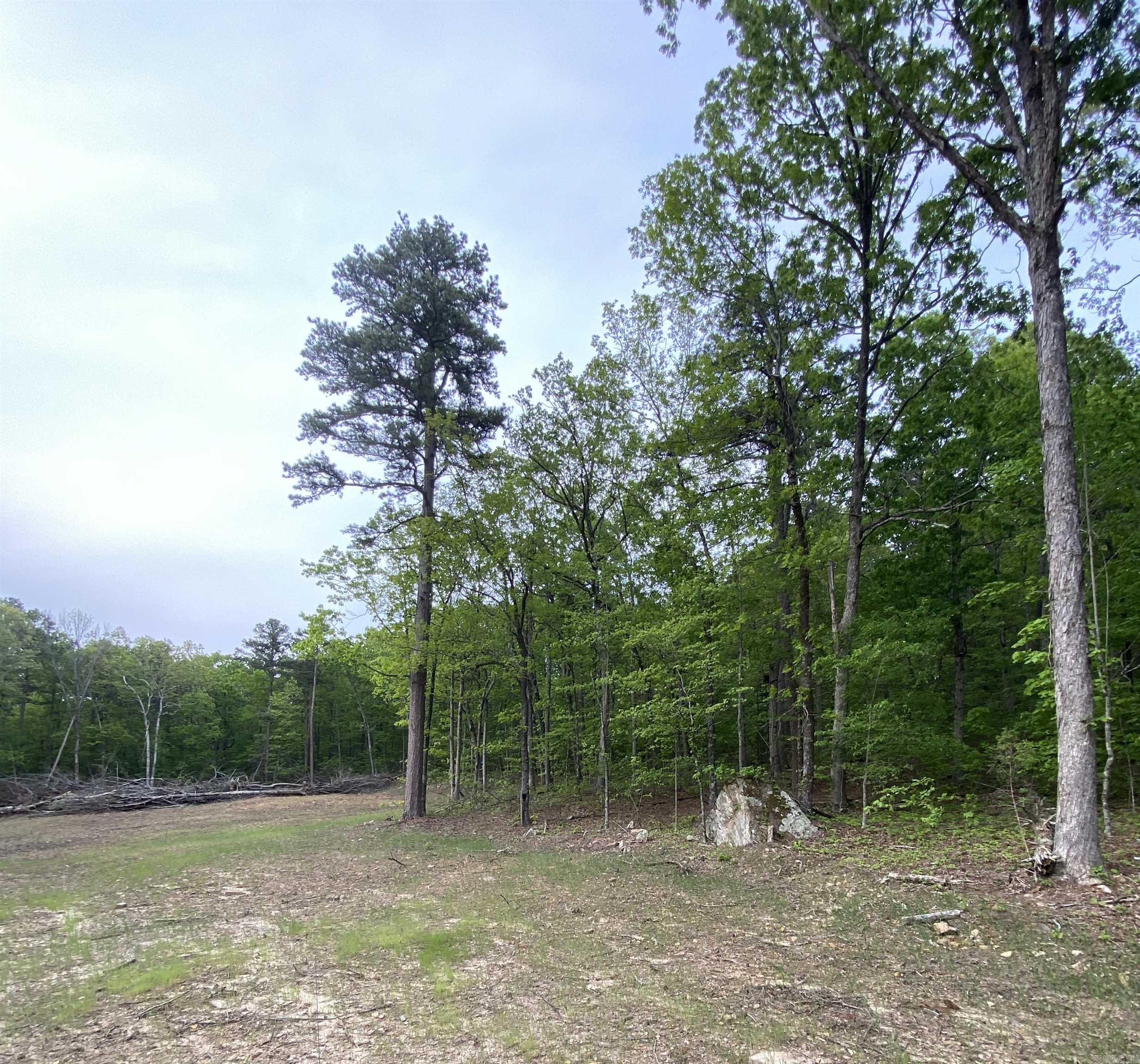 952 Wildwood  Marshall, AR