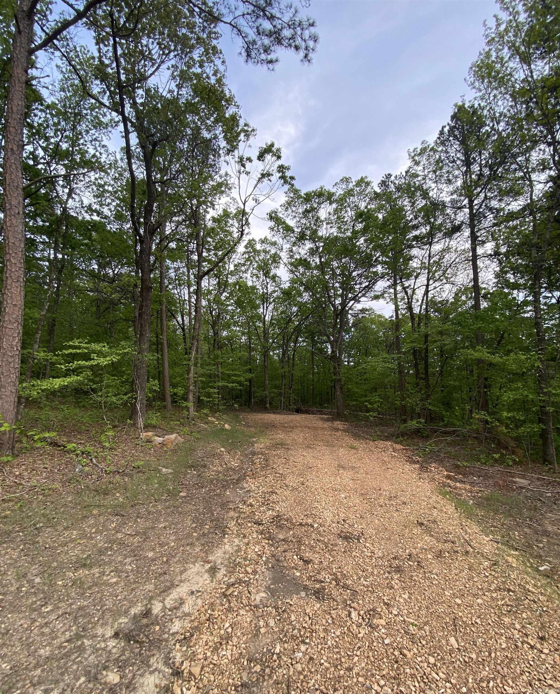 952 Wildwood  Marshall, AR