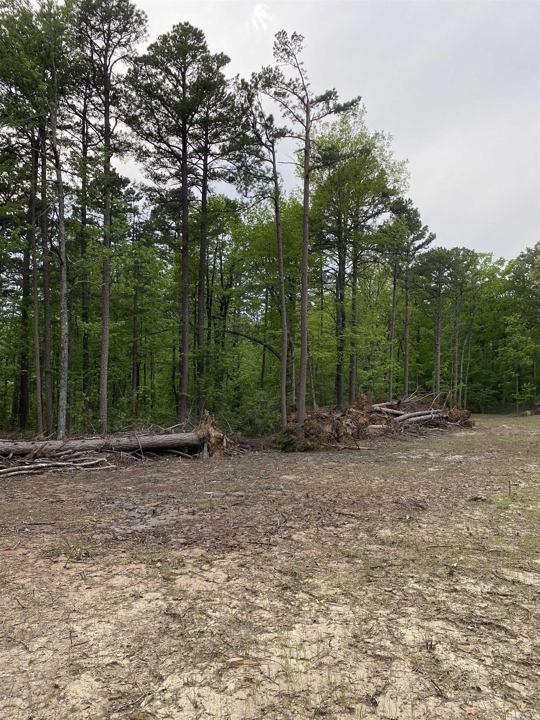 952 Wildwood  Marshall, AR