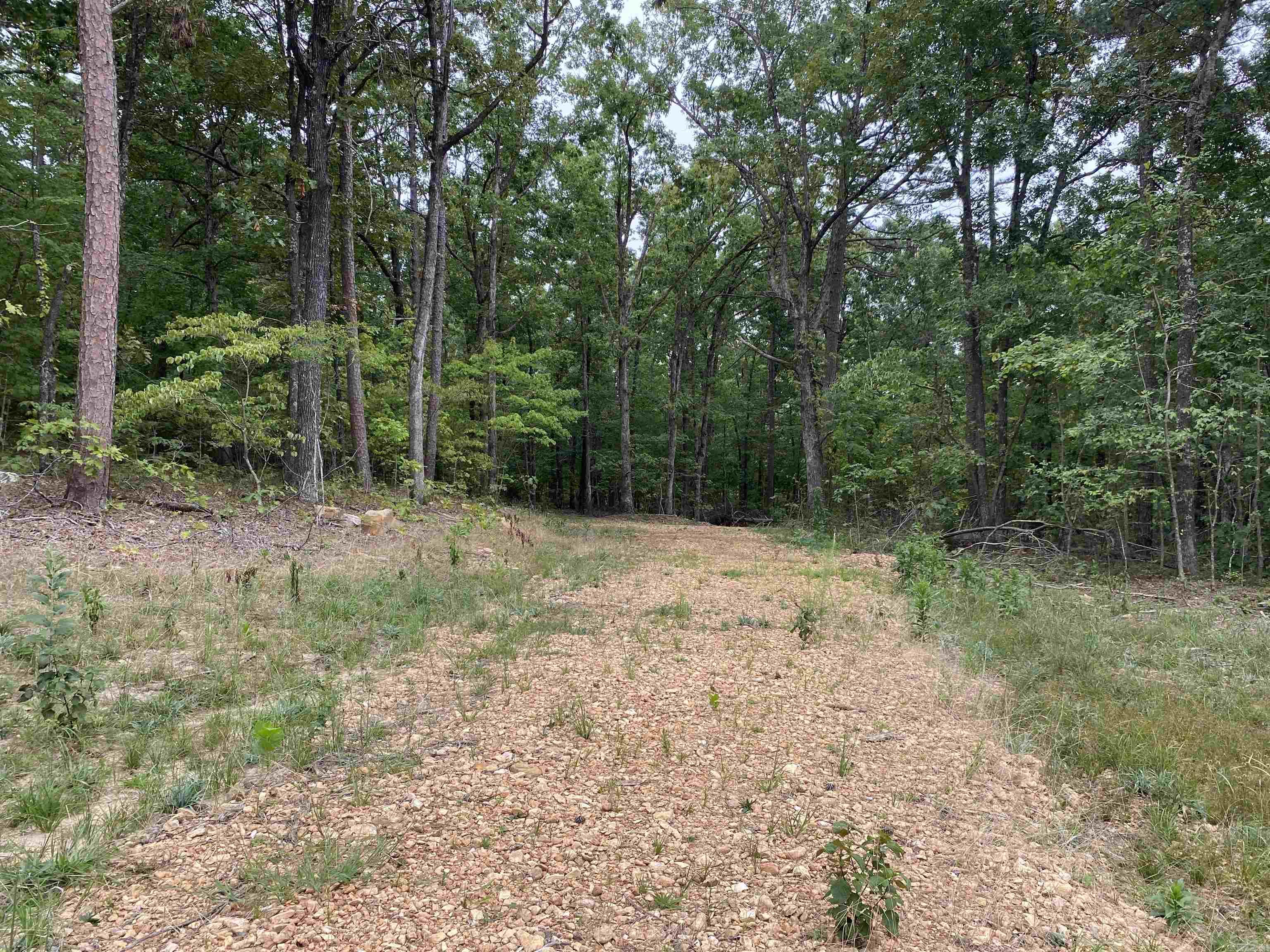 952 Wildwood  Marshall, AR