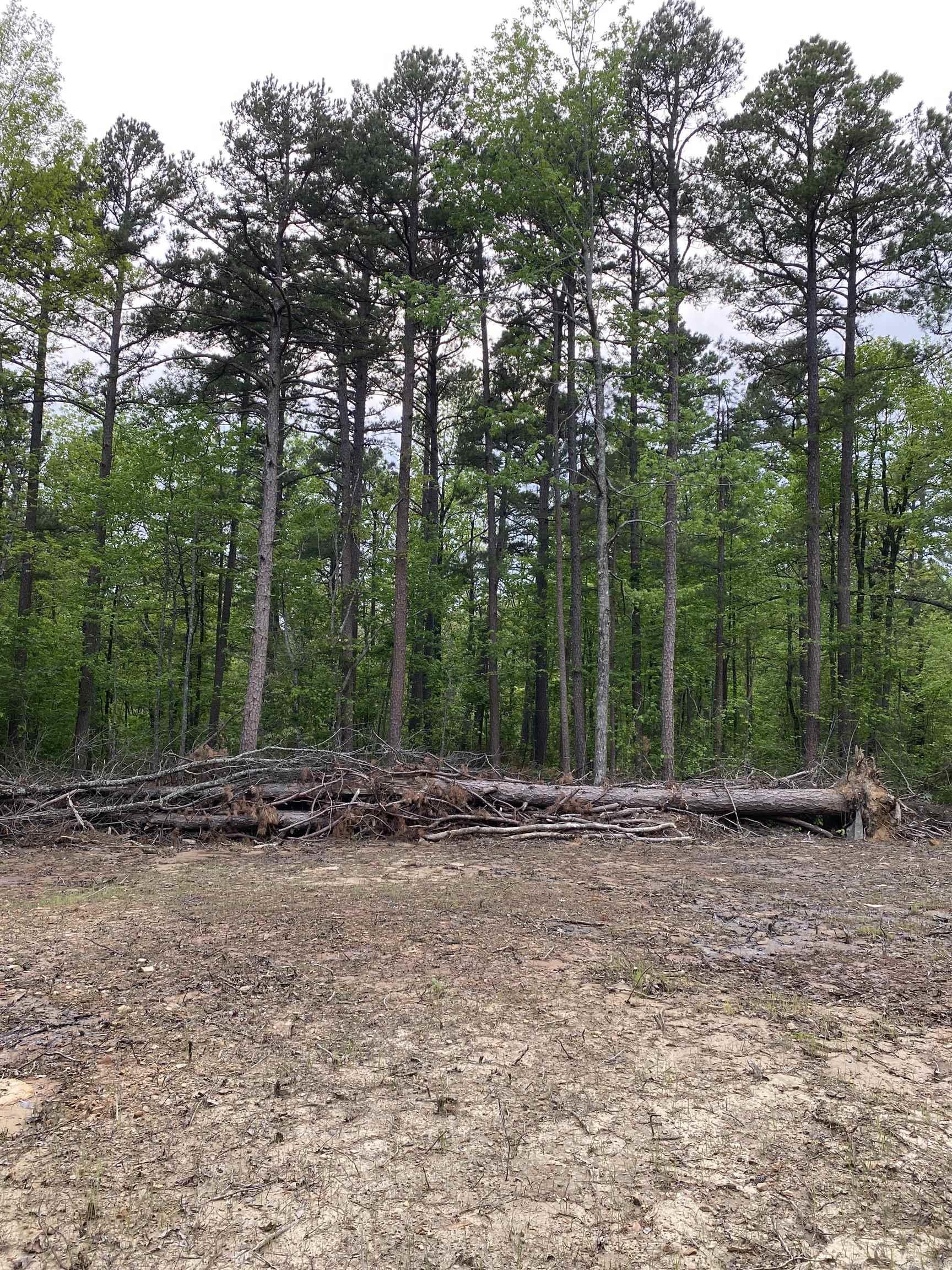 952 Wildwood  Marshall, AR