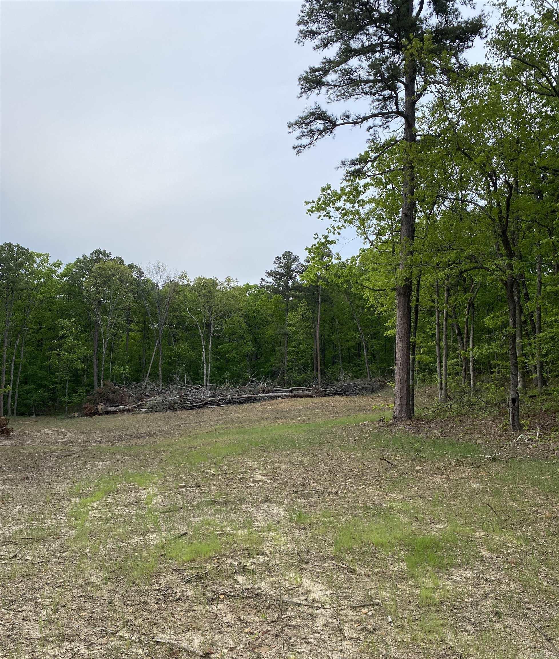 952 Wildwood  Marshall, AR