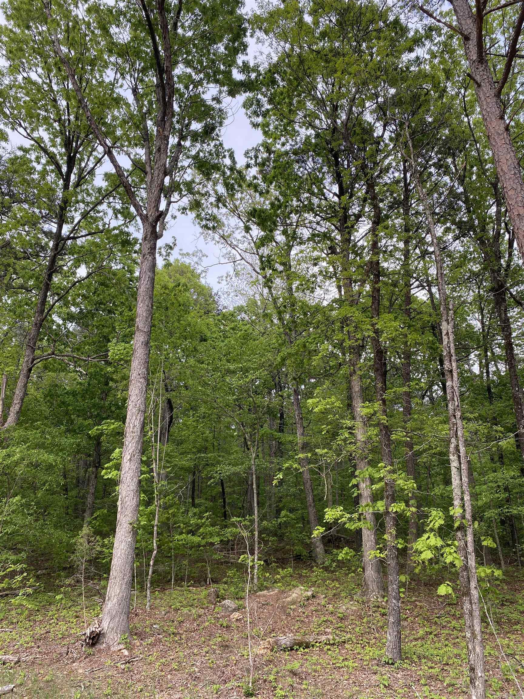 952 Wildwood  Marshall, AR
