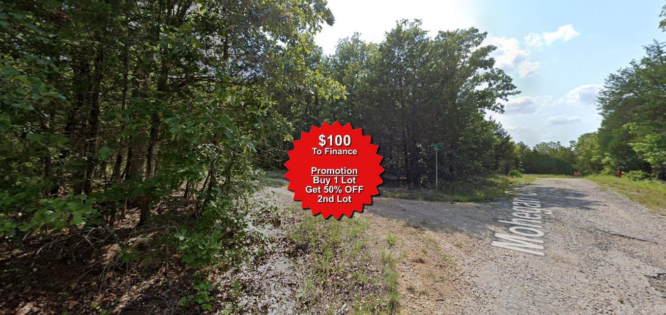 Lot 2 Winetka  Cherokee Village, AR